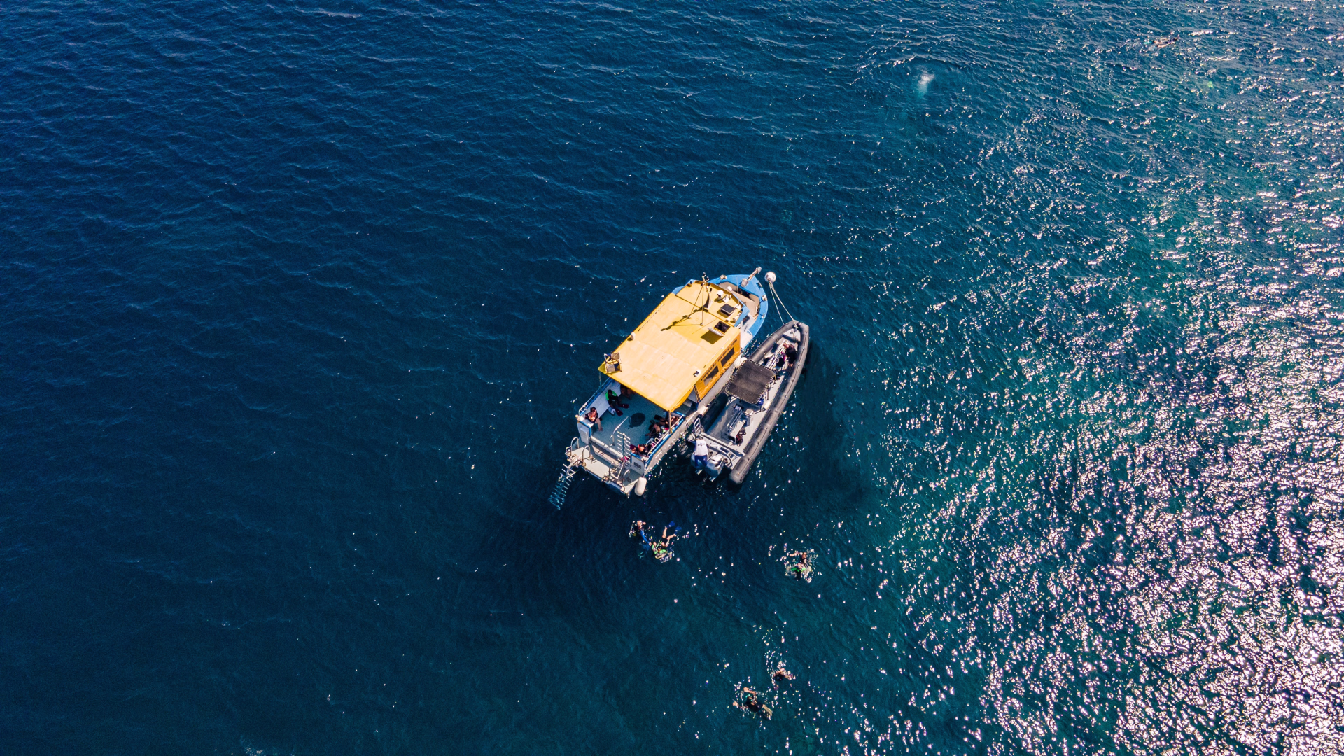 Formation plongée PADI Open Water à La Londe-les-Maures