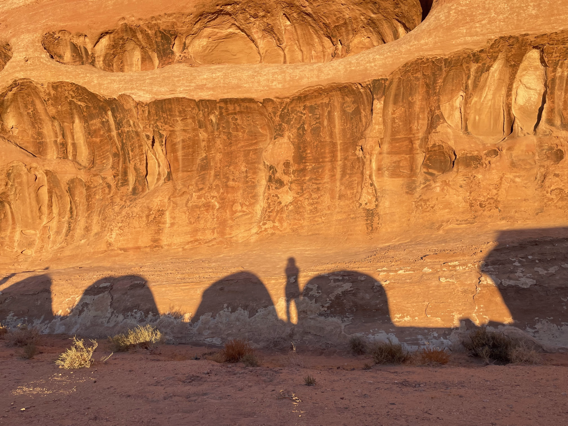 Photo en Jordanie