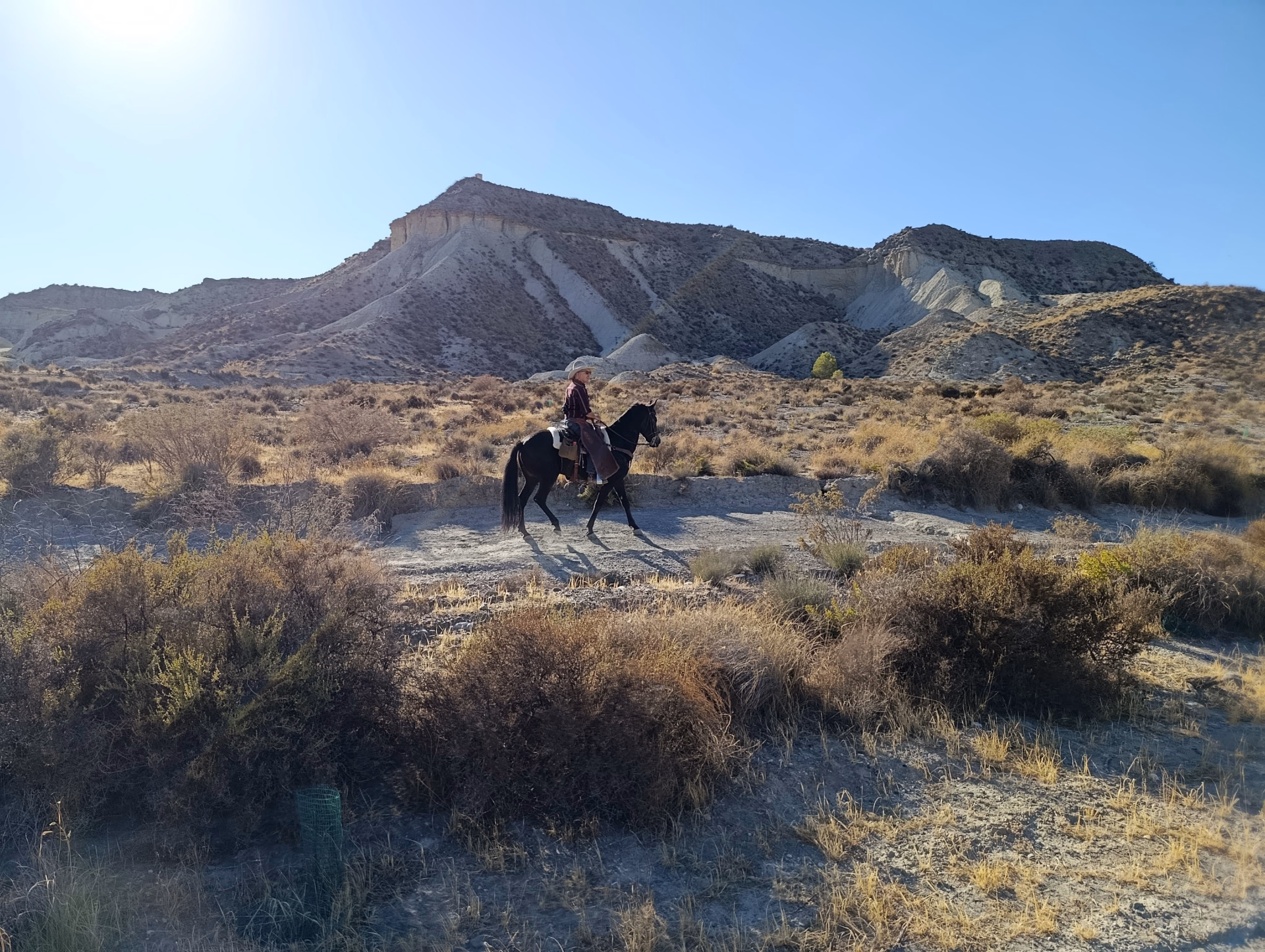 Aventure équestre dans le désert de Tabernas