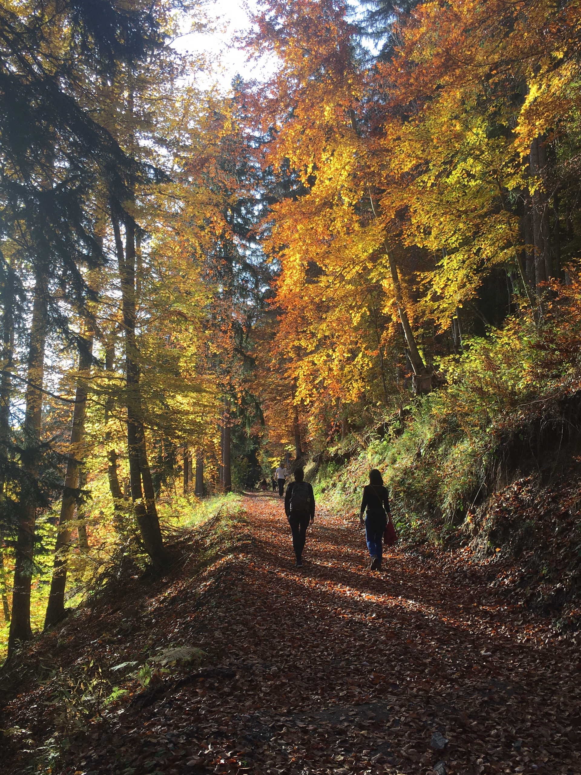 Break automnale 4 jours en Haute-Savoie : yoga, balades & spa