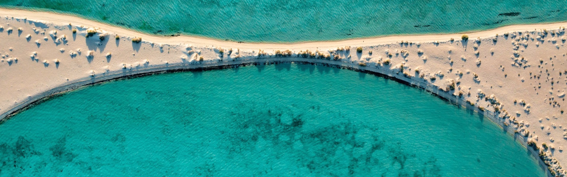 2 semaines de plongée à Marsa Alam