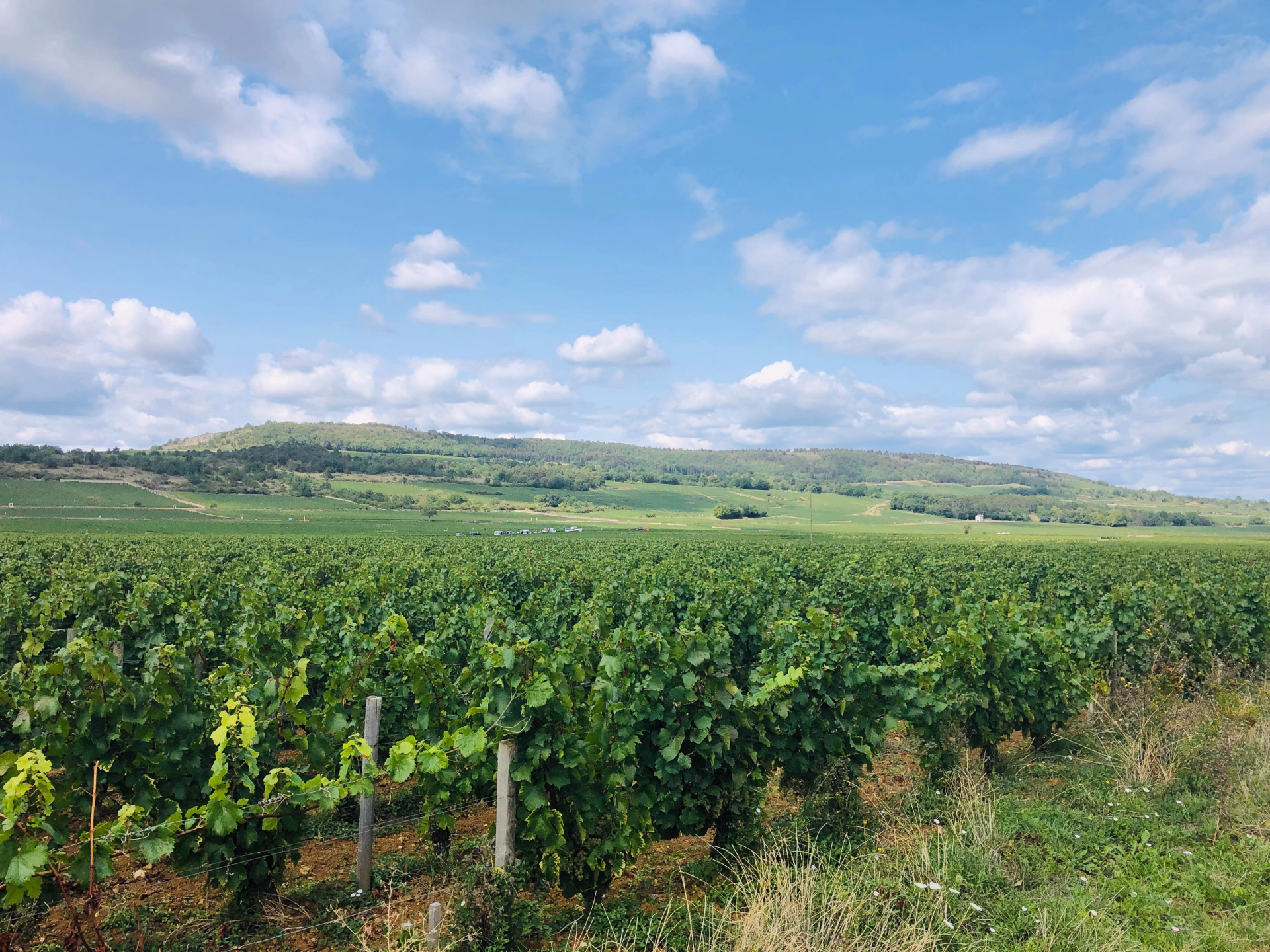 Le sud de la Bourgogne à vélo | 5 jours | éco