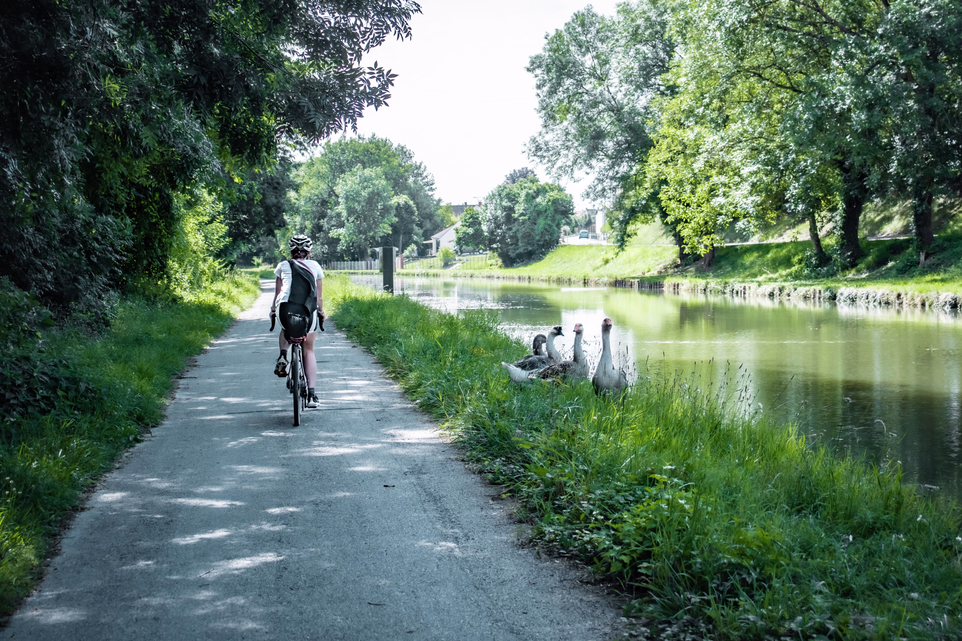 De Paris à Saint-Malo à vélo : Véloscénie & Vélomaritime