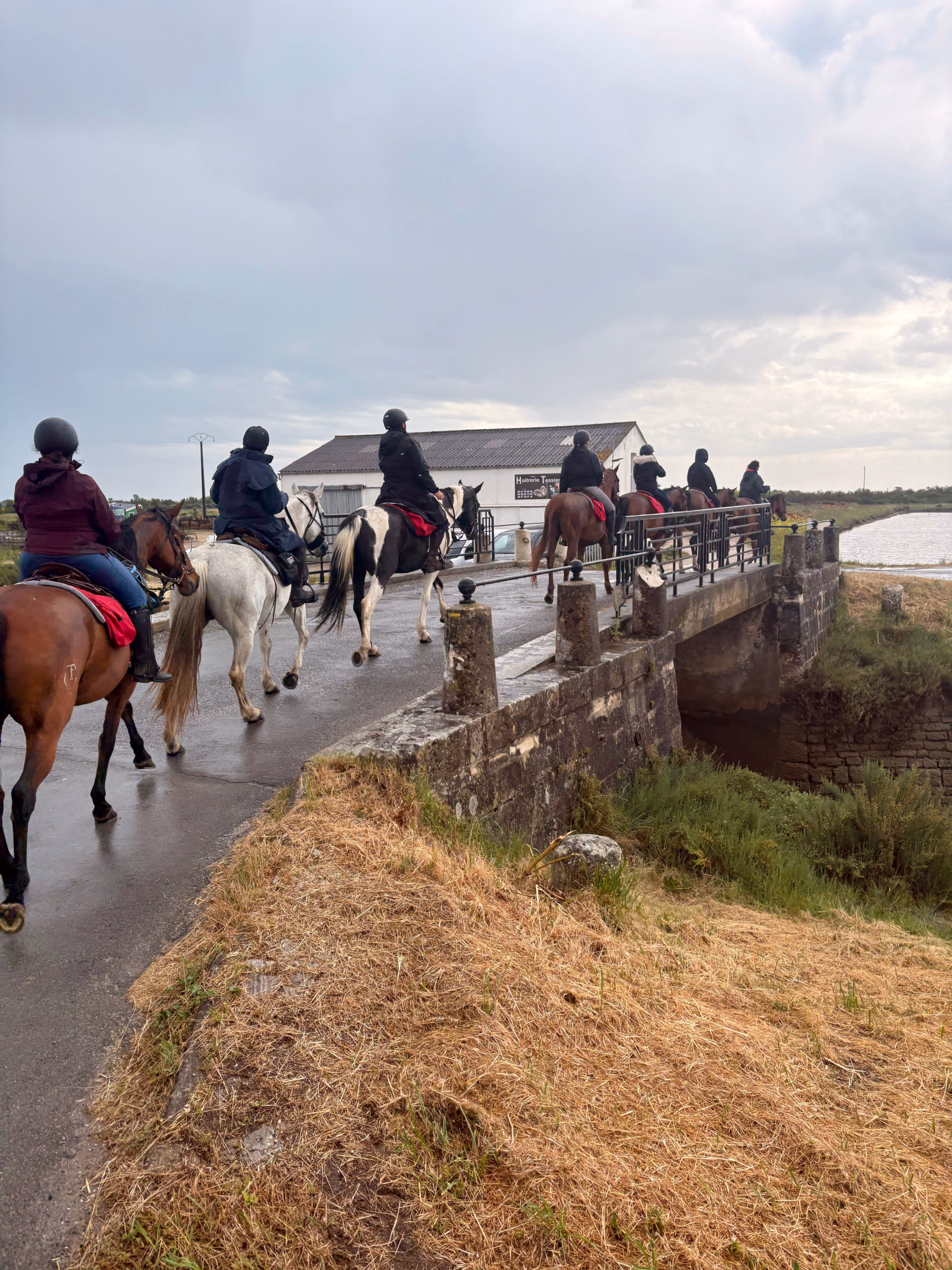 Randonnée Équestre sur l'Île d'Oléron