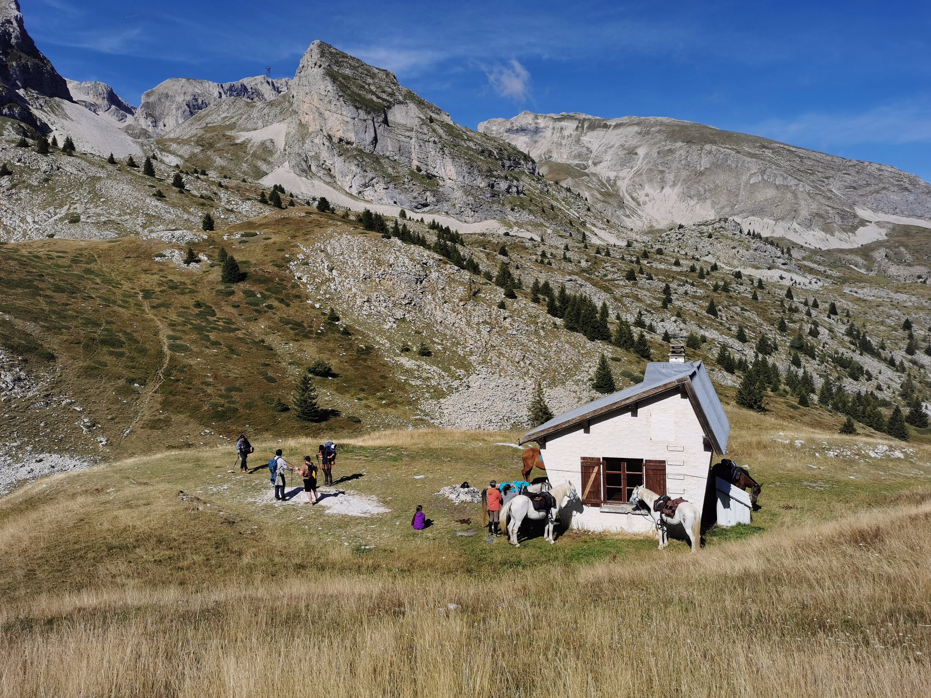 Randonnée équestre et bivouac sauvage dans le Dévoluy