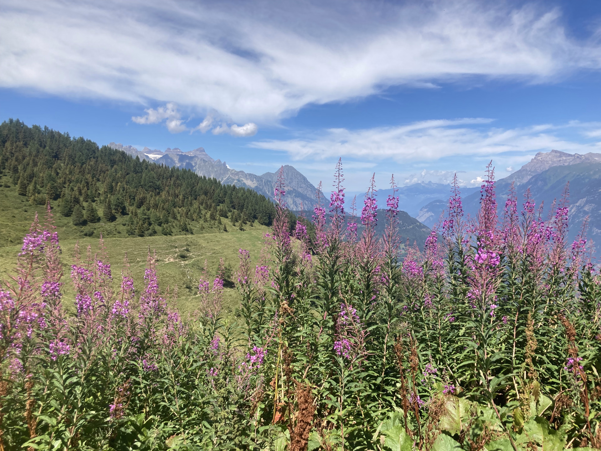 Le Tour du Mont-Blanc sous tente