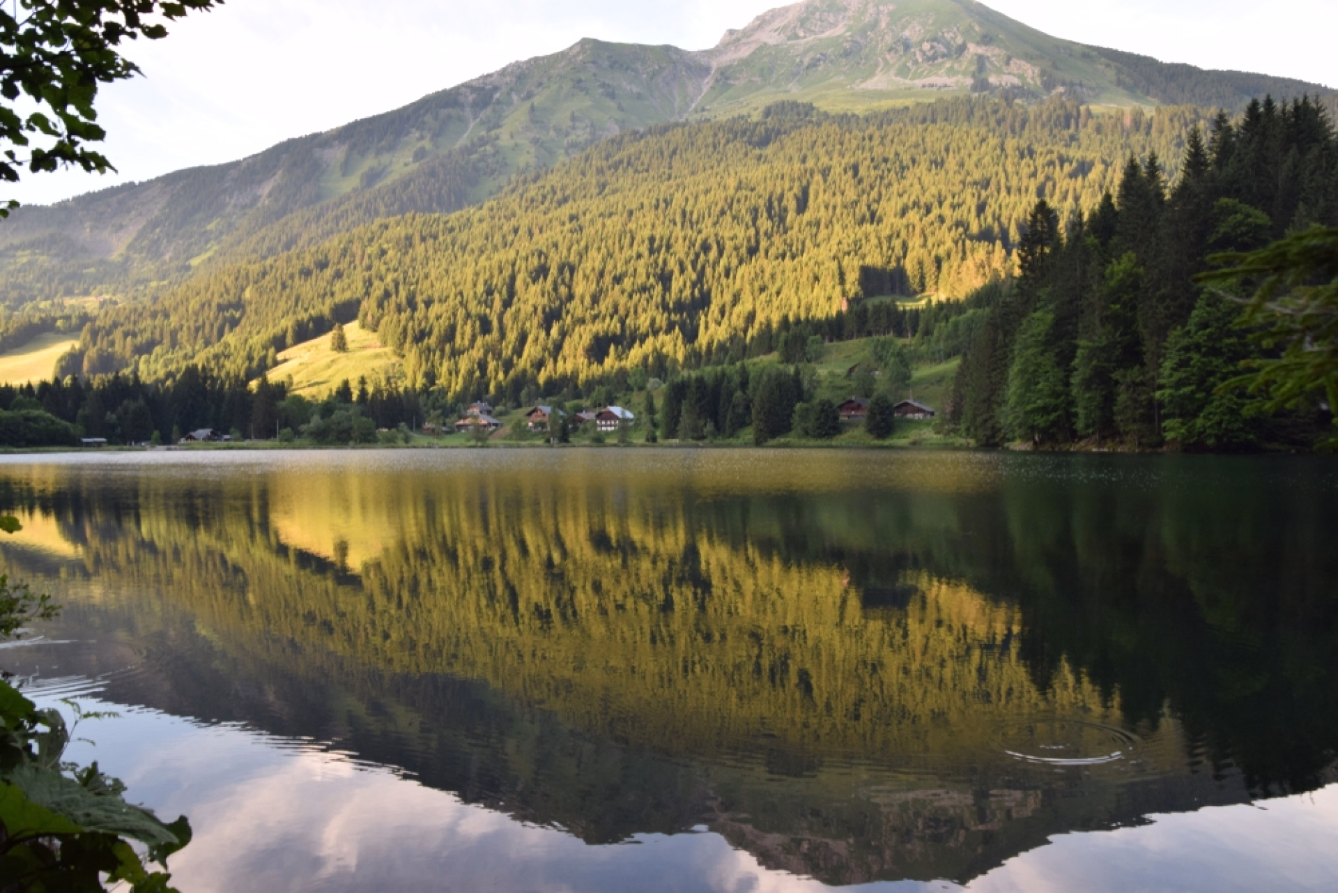 Le Tour de la Vallaisonnay