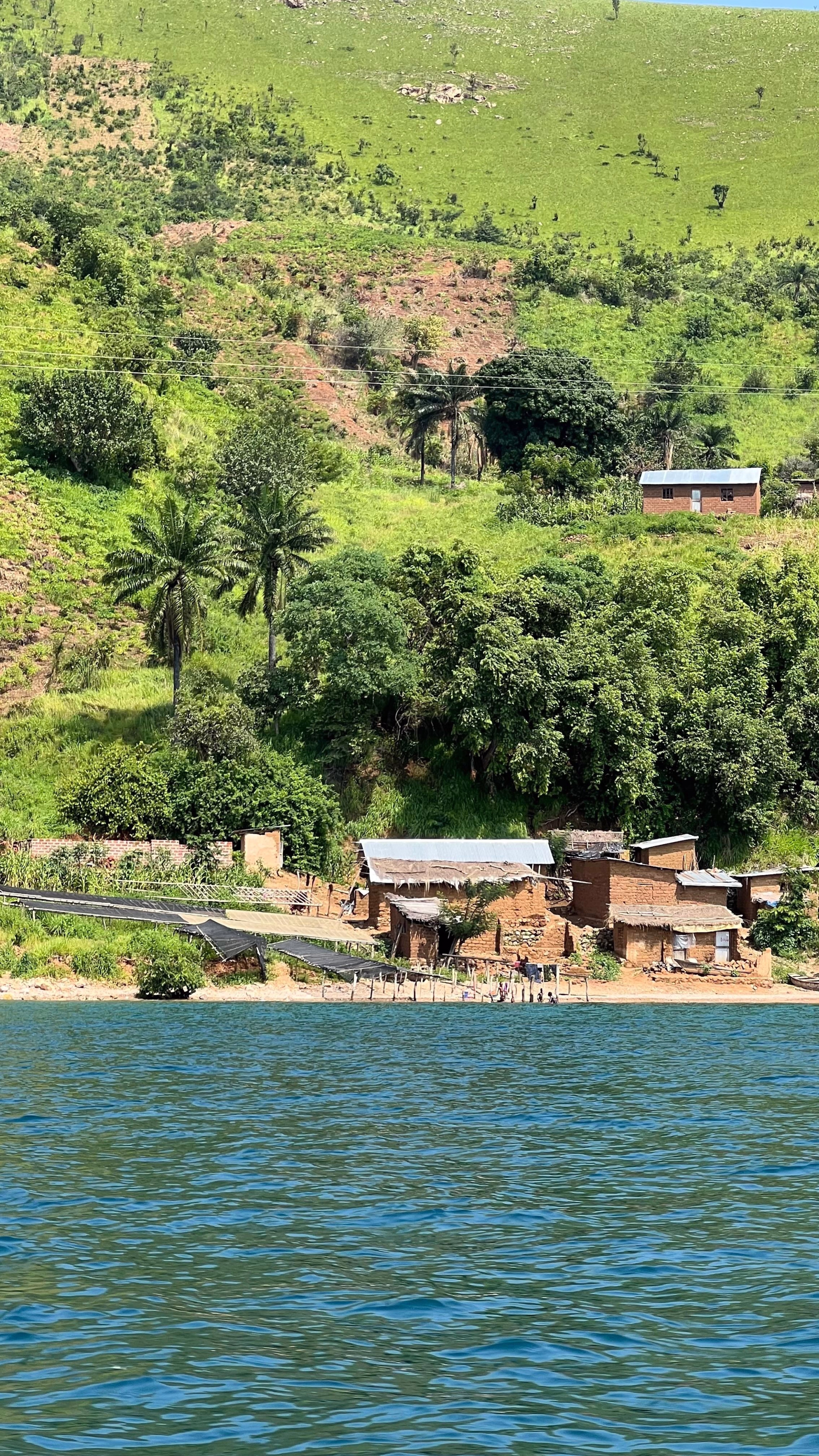 Rencontre avec les Chimpanzés et découverte du Lac Tanganyika