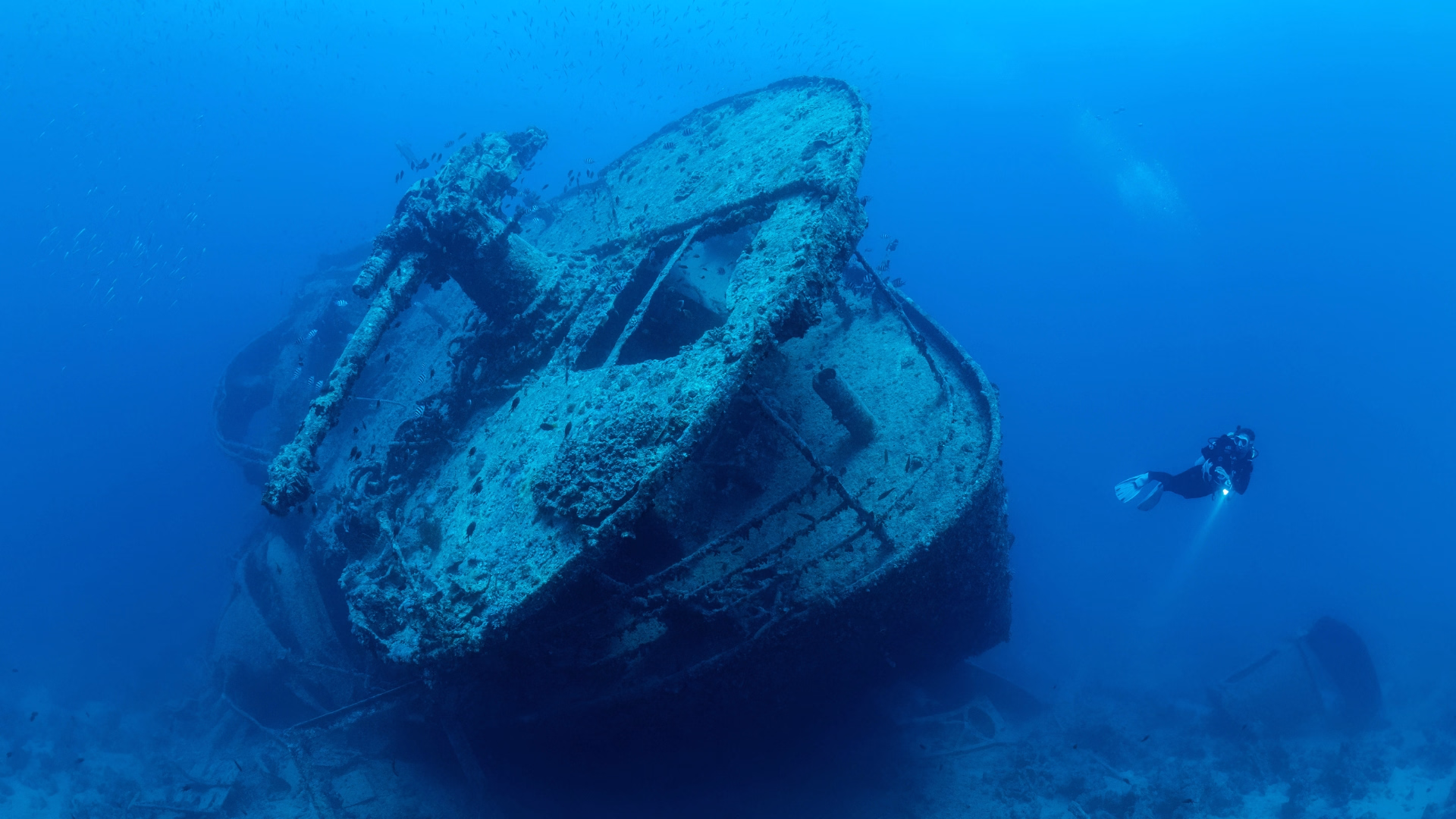 Voyageur solo : croisière plongée dans le Parc National de Ras Mohamed