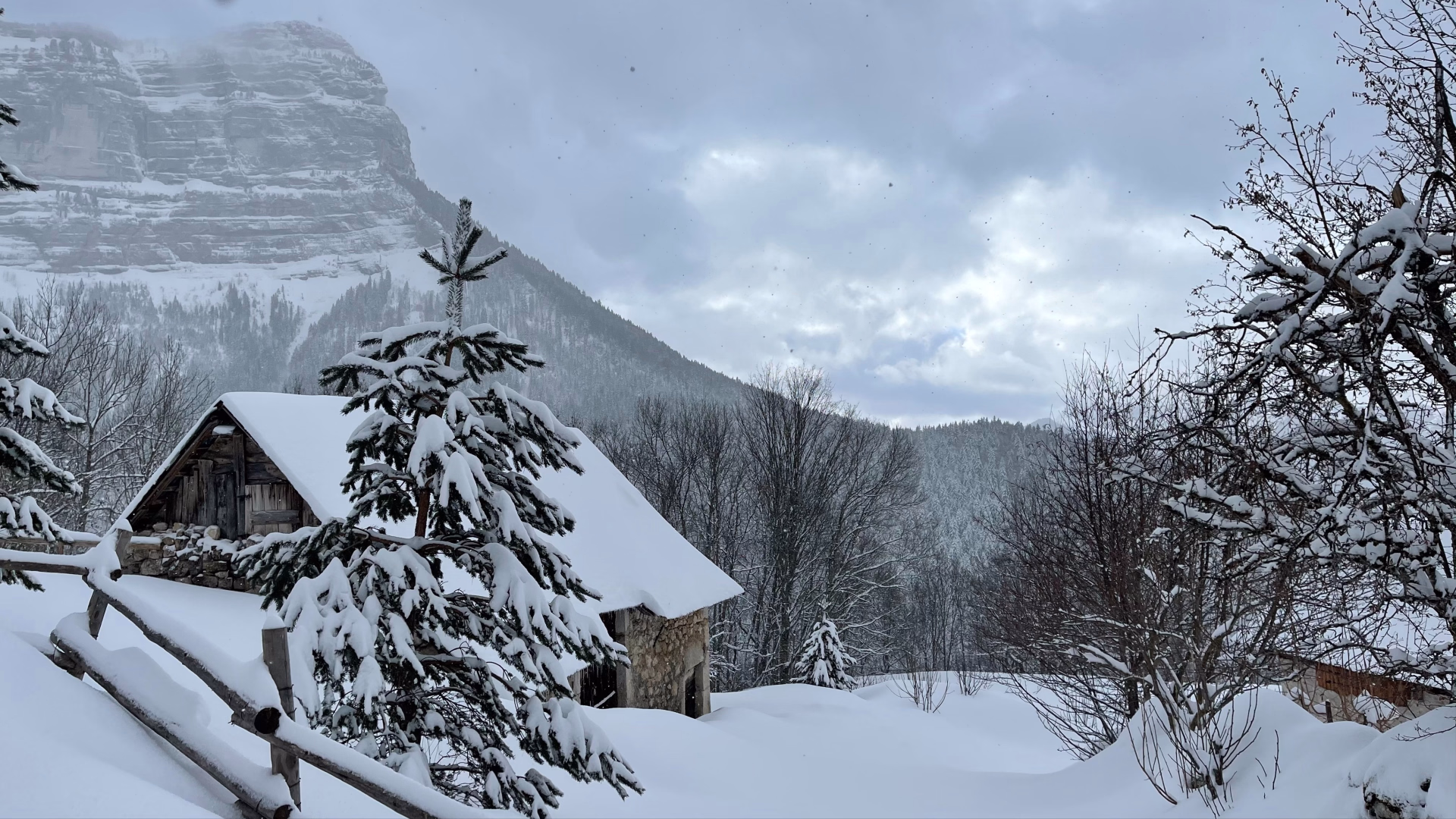 Neige et paysages de Chartreuse en raquettes