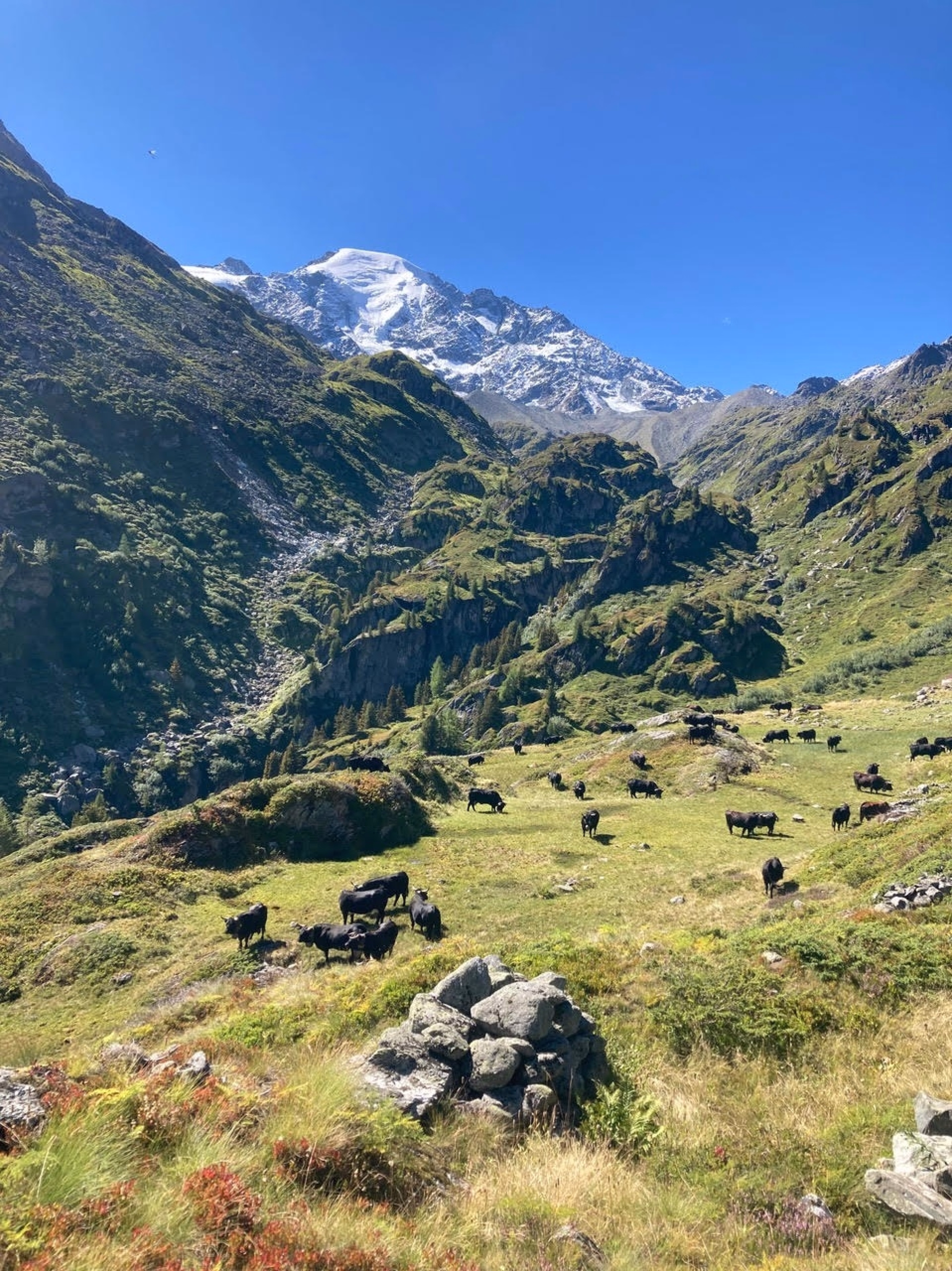 Le Tour des Grands Combins