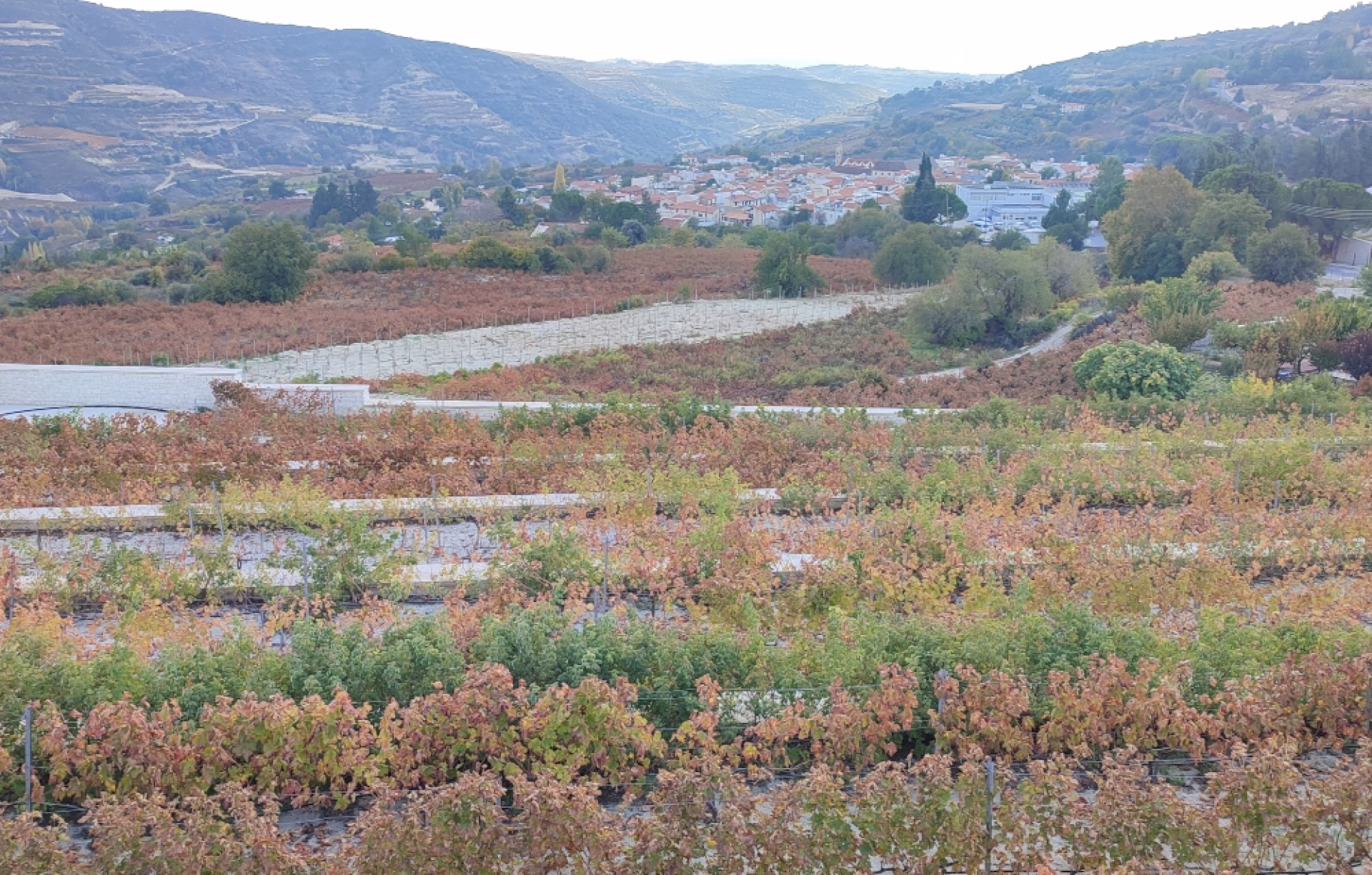 Randonnée en liberté sur les sentiers du Troodos à Chypre