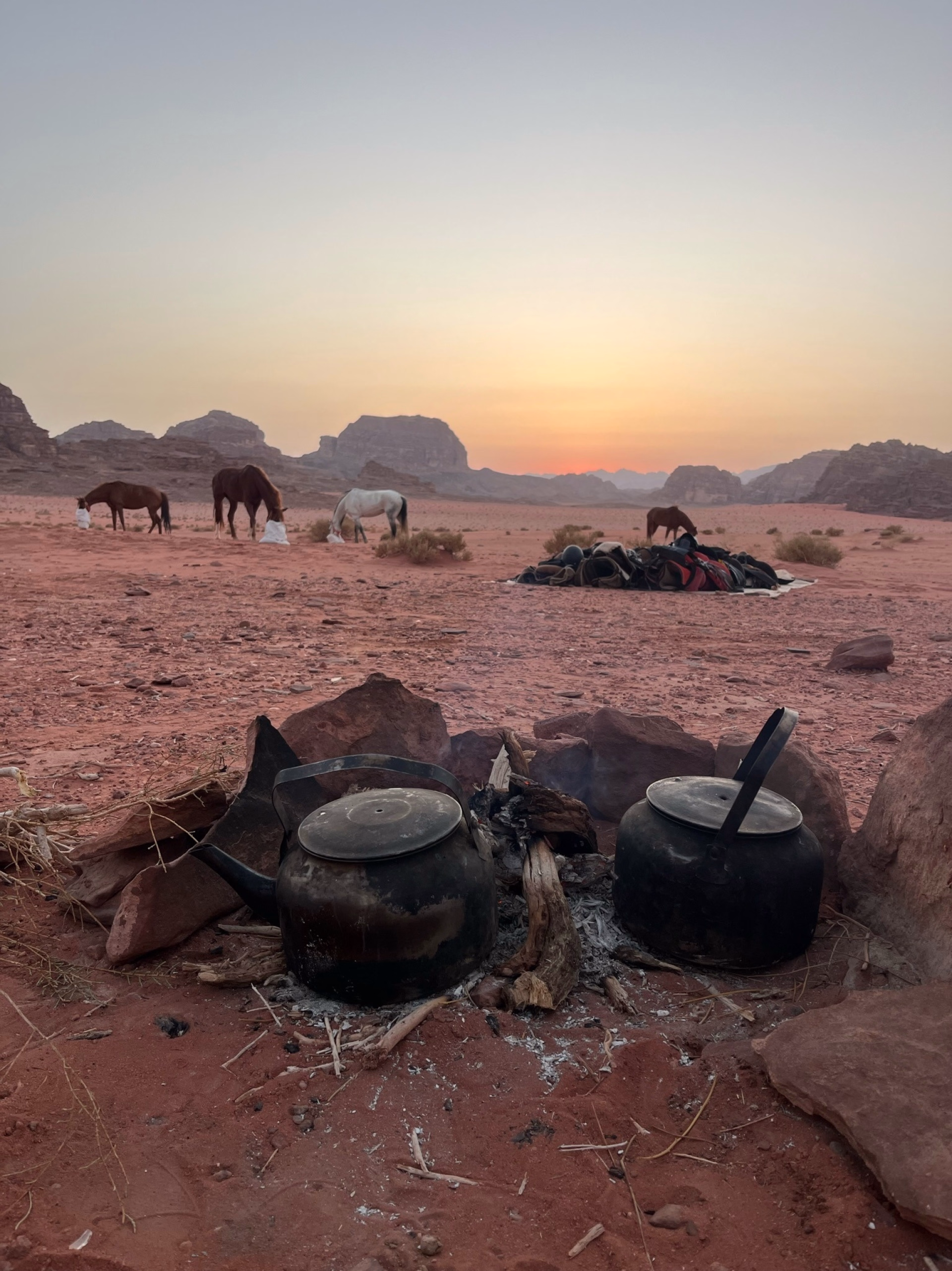Randonnée à cheval au coeur de la Jordanie - Spécial Réveillon