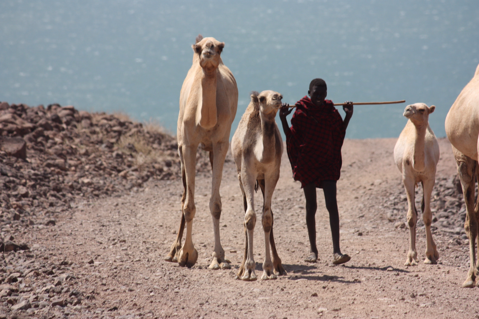 13 jours avec les nomades du Kenya