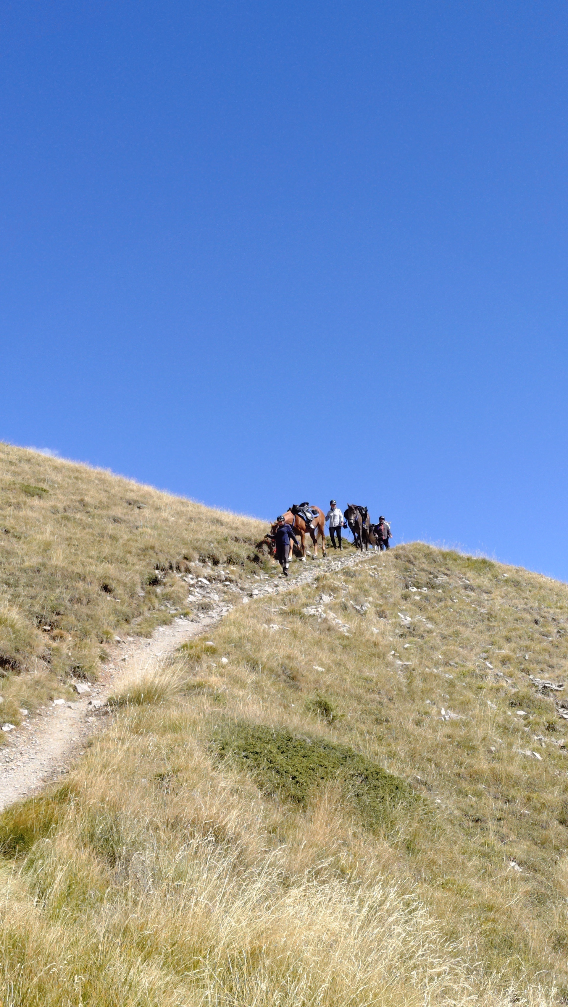 Trek des lacs et panoramas du Viso en Queyras