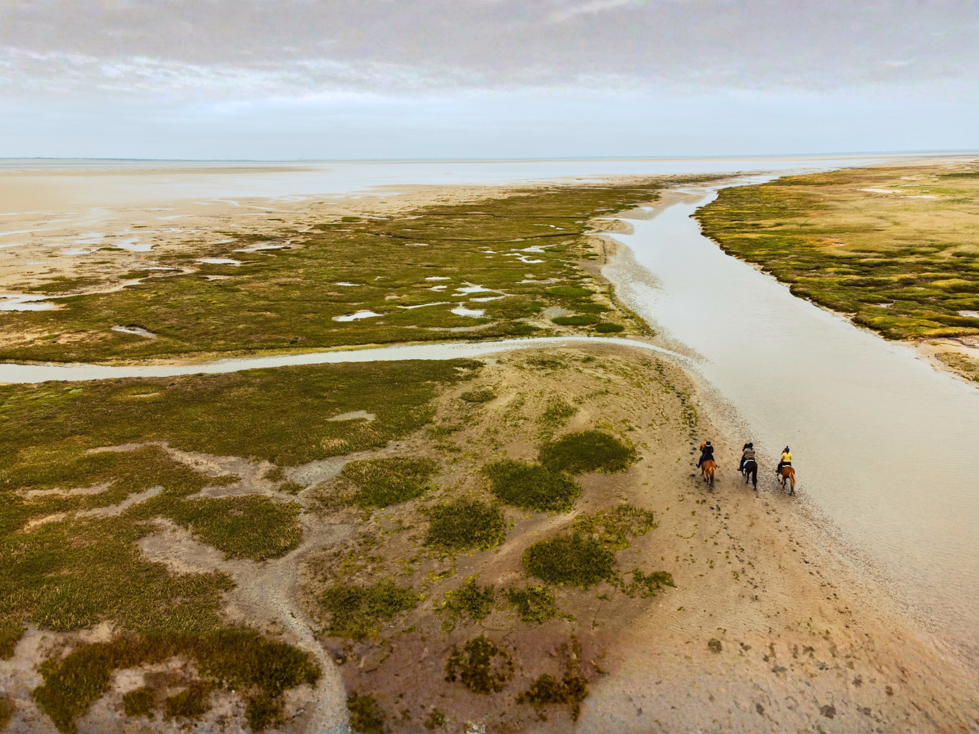 Séjour équestre sur l’île de Rømø au Danemark