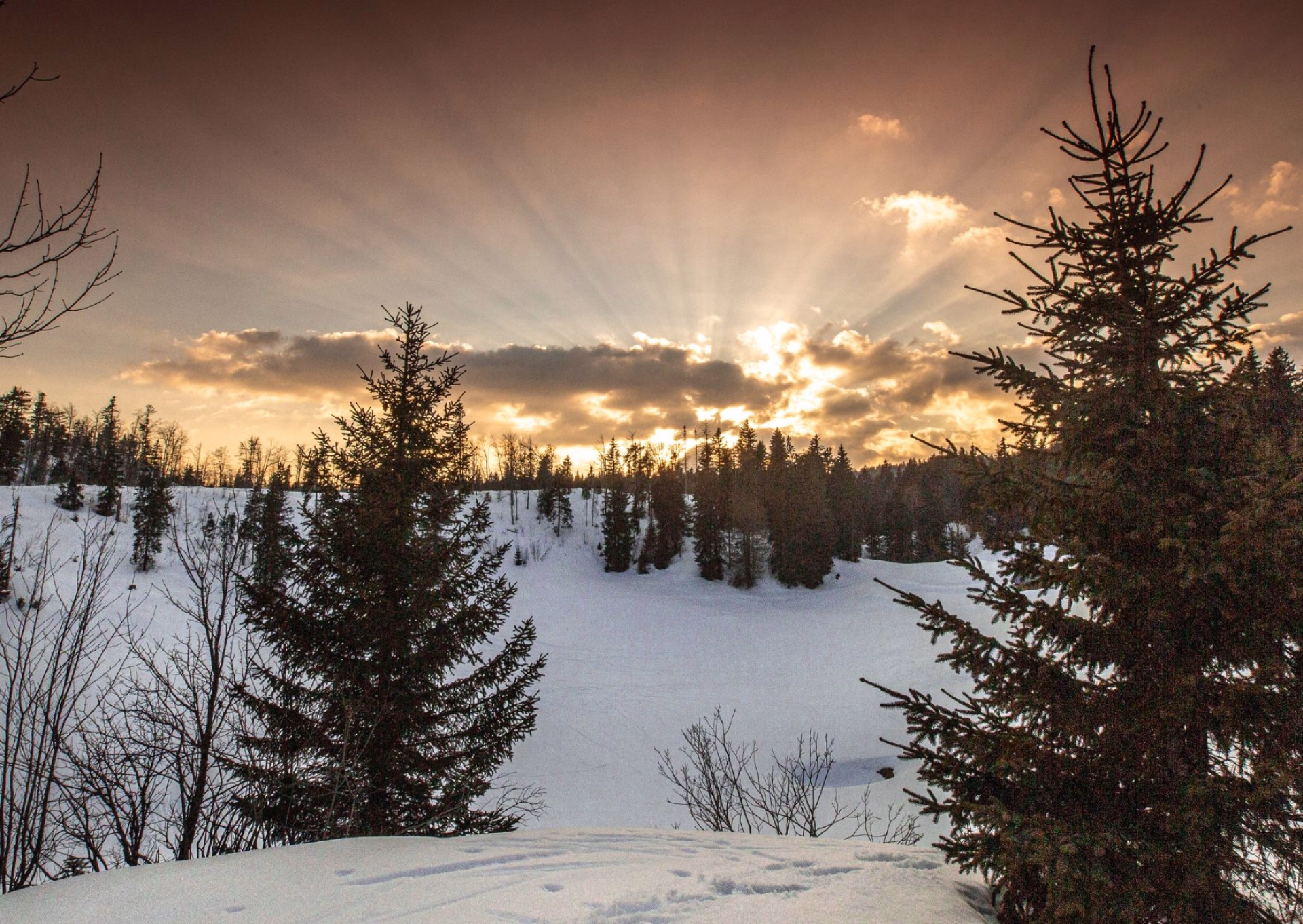 Stage de survie "Grand froid" Savoie - 3 jours