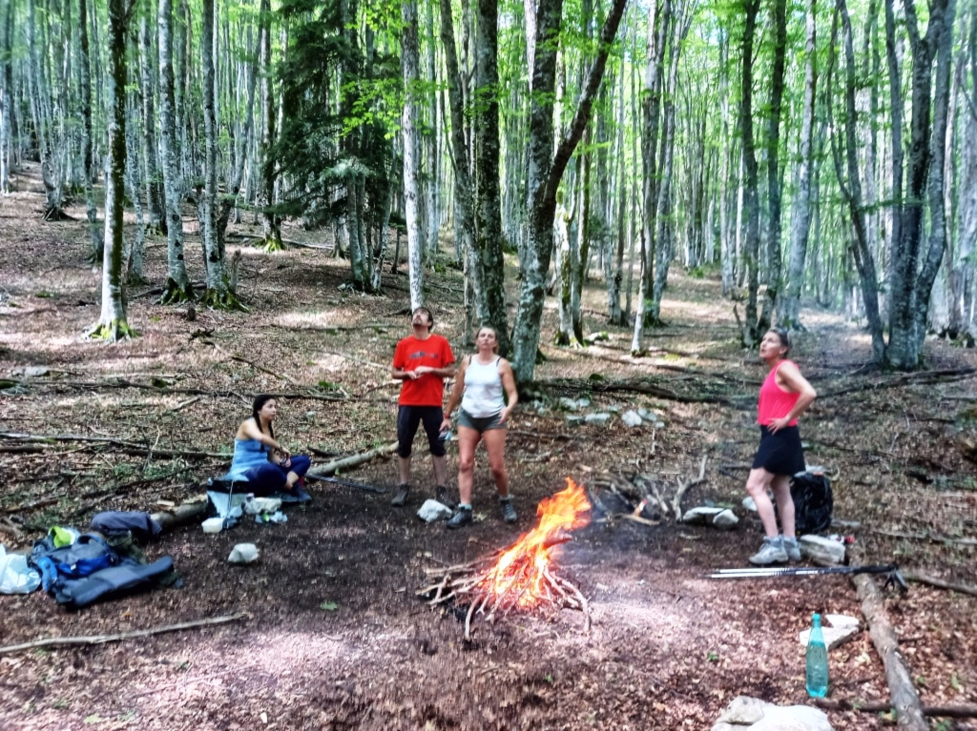 Randonnée et bivouac sur les traces du loup dans les Hautes-Alpes