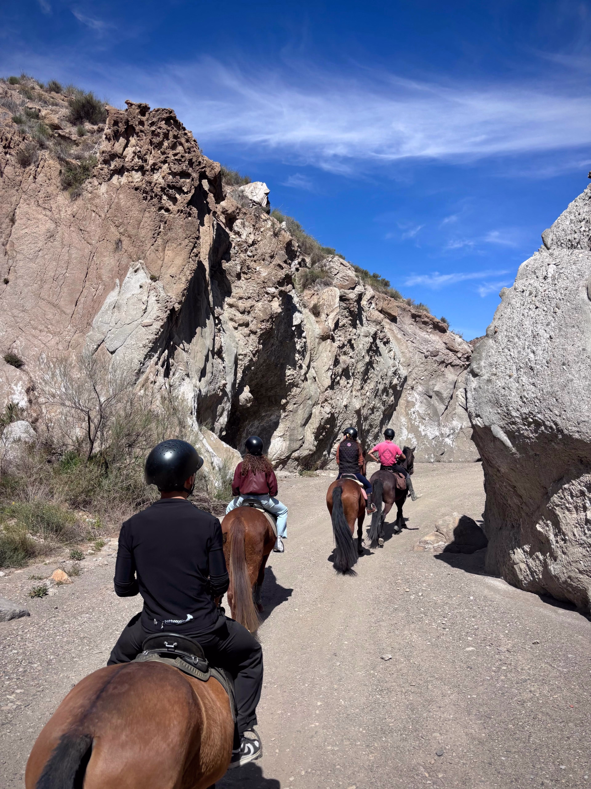 Randonnée équestre dans le désert de Tabernas