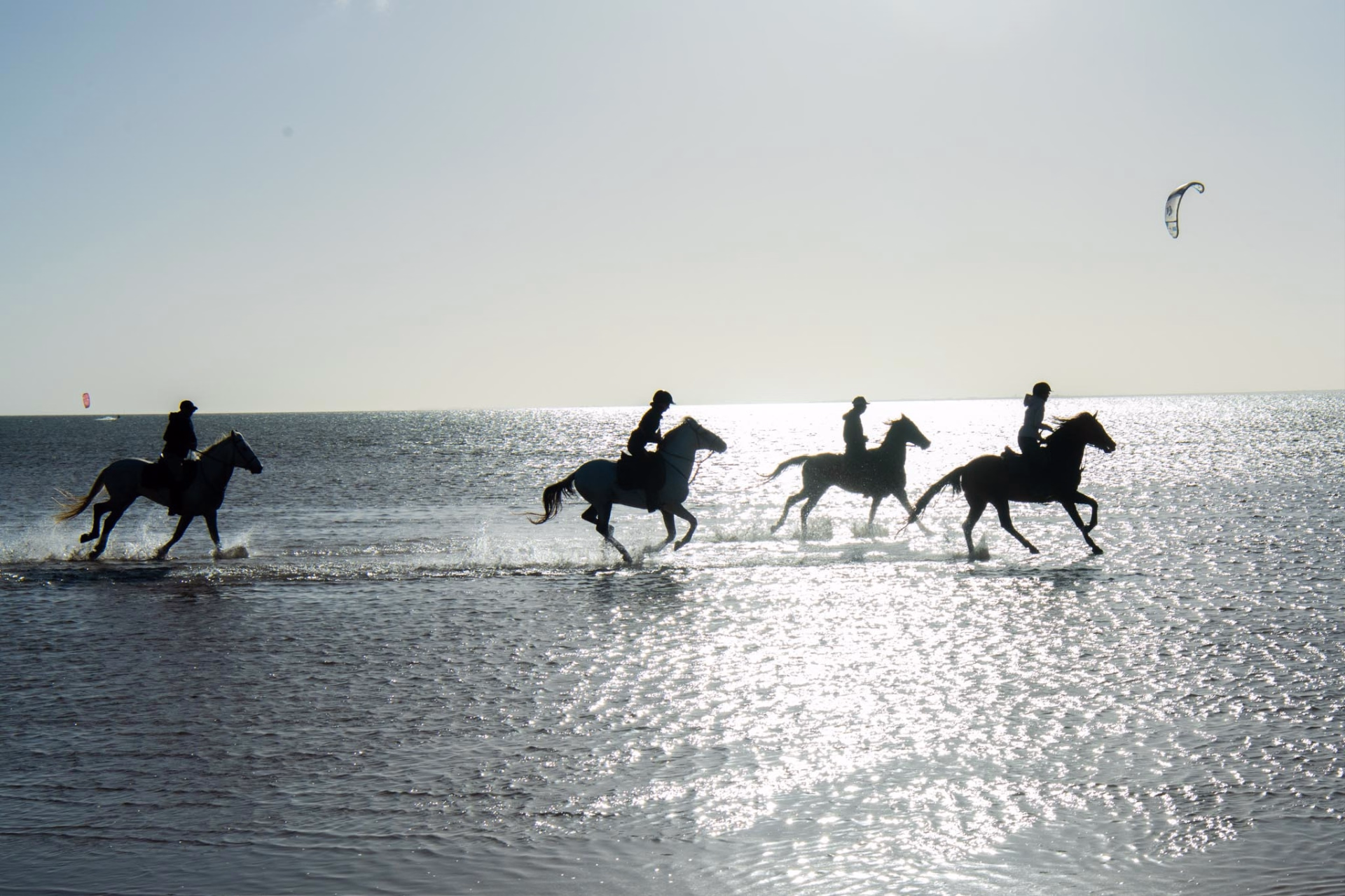 Balades à cheval au coeur du Sahara, entre océan et désert.