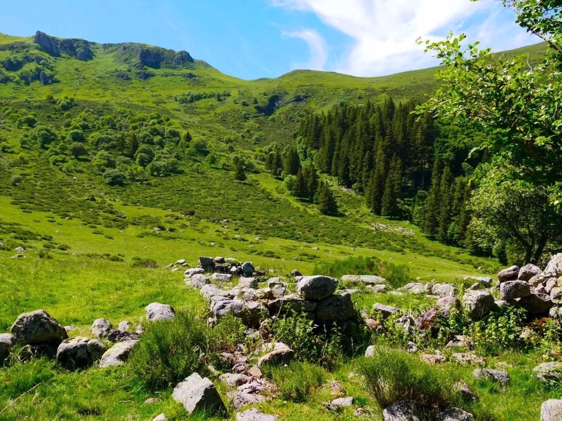 Randonnées pédestres sur le grand volcan du Cantal