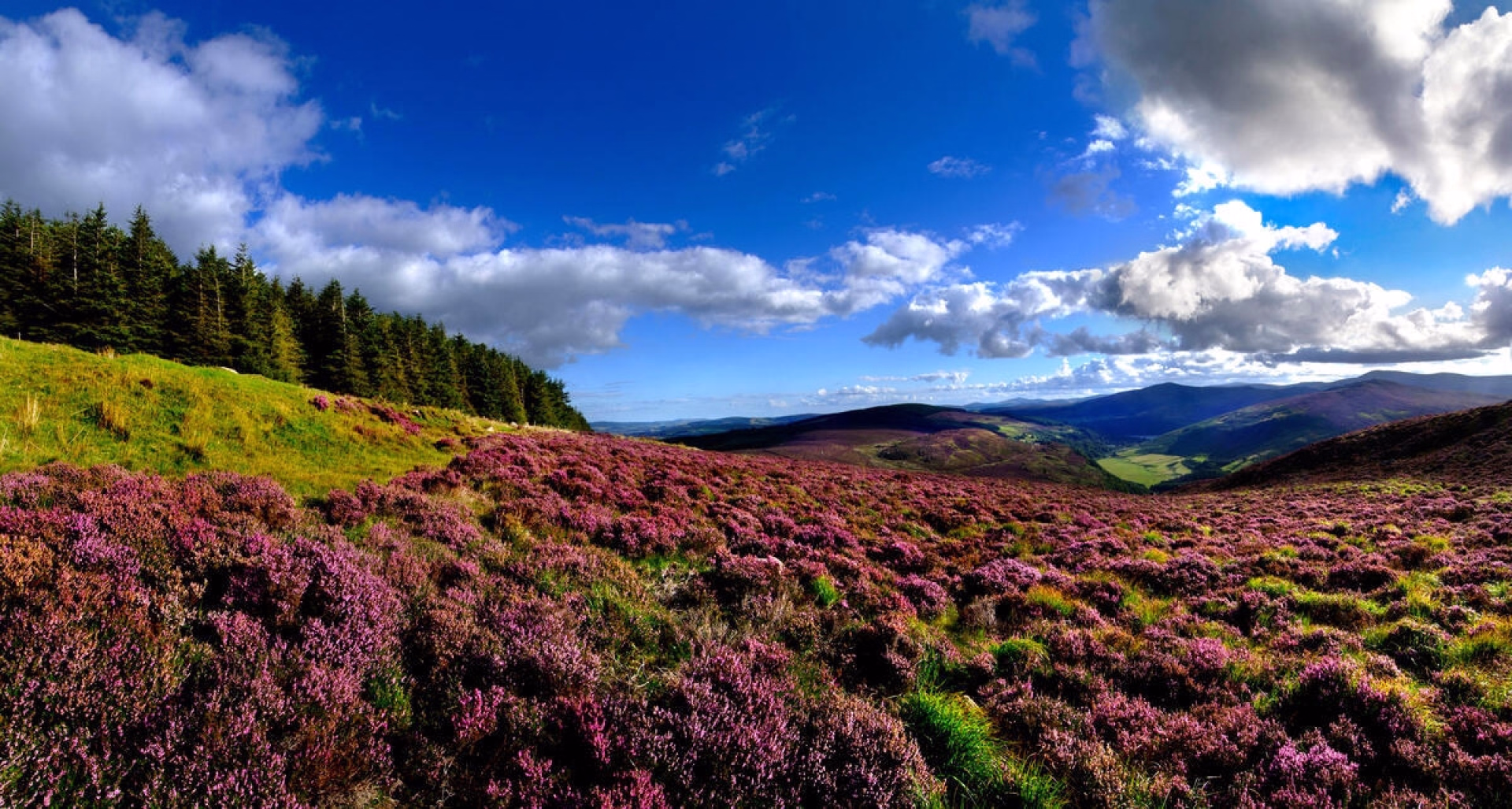 Le Wicklow Way à pieds sur 8 jours