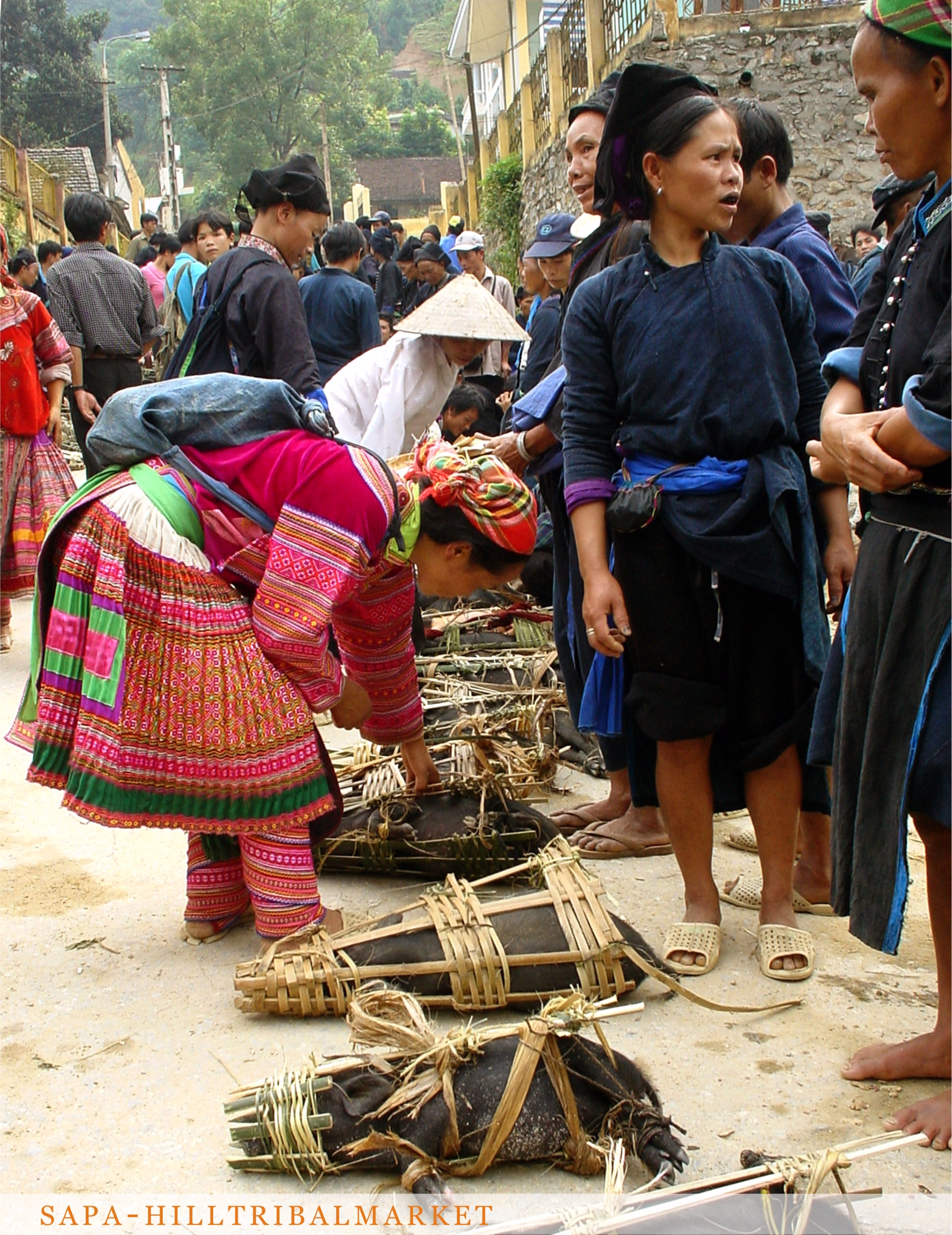 Excursion exploration des sommets et des vallées de Sapa