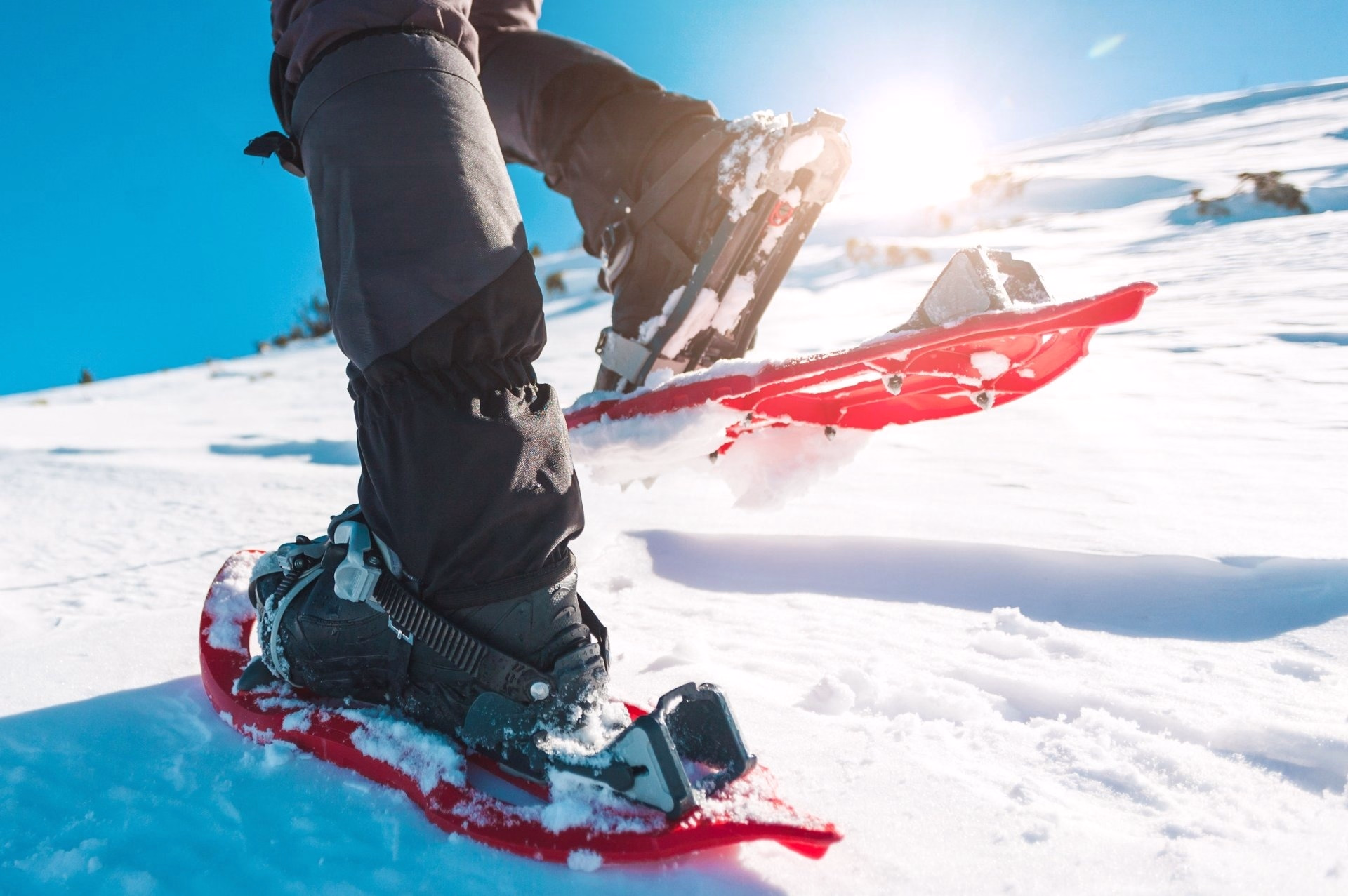 Snowshoeing - Escape to the Haut-Giffre