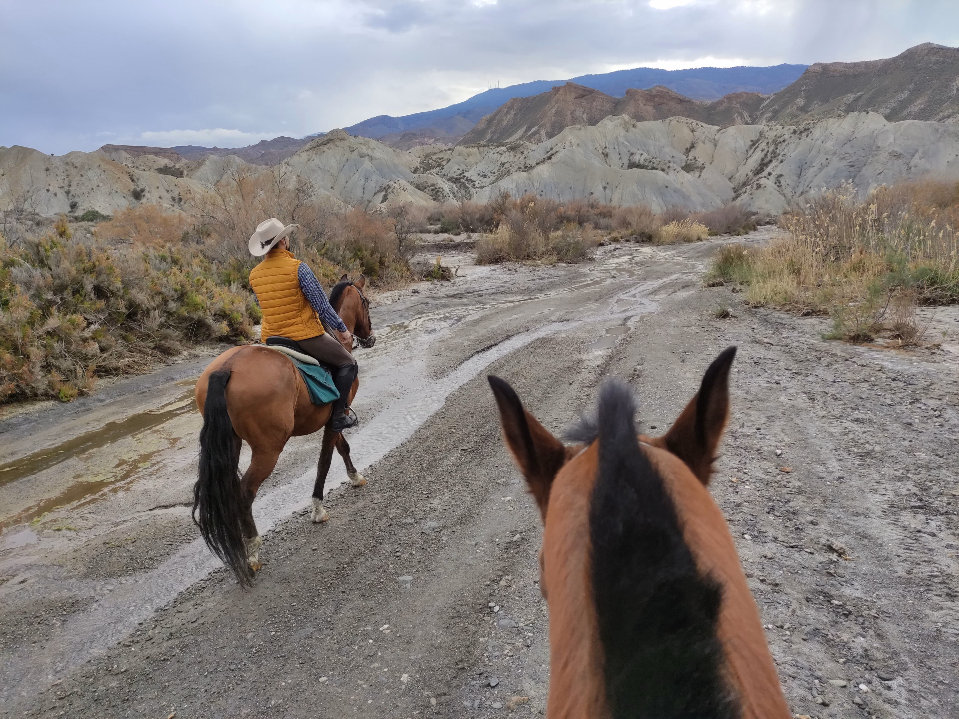 Randonnée équestre dans le désert de Tabernas
