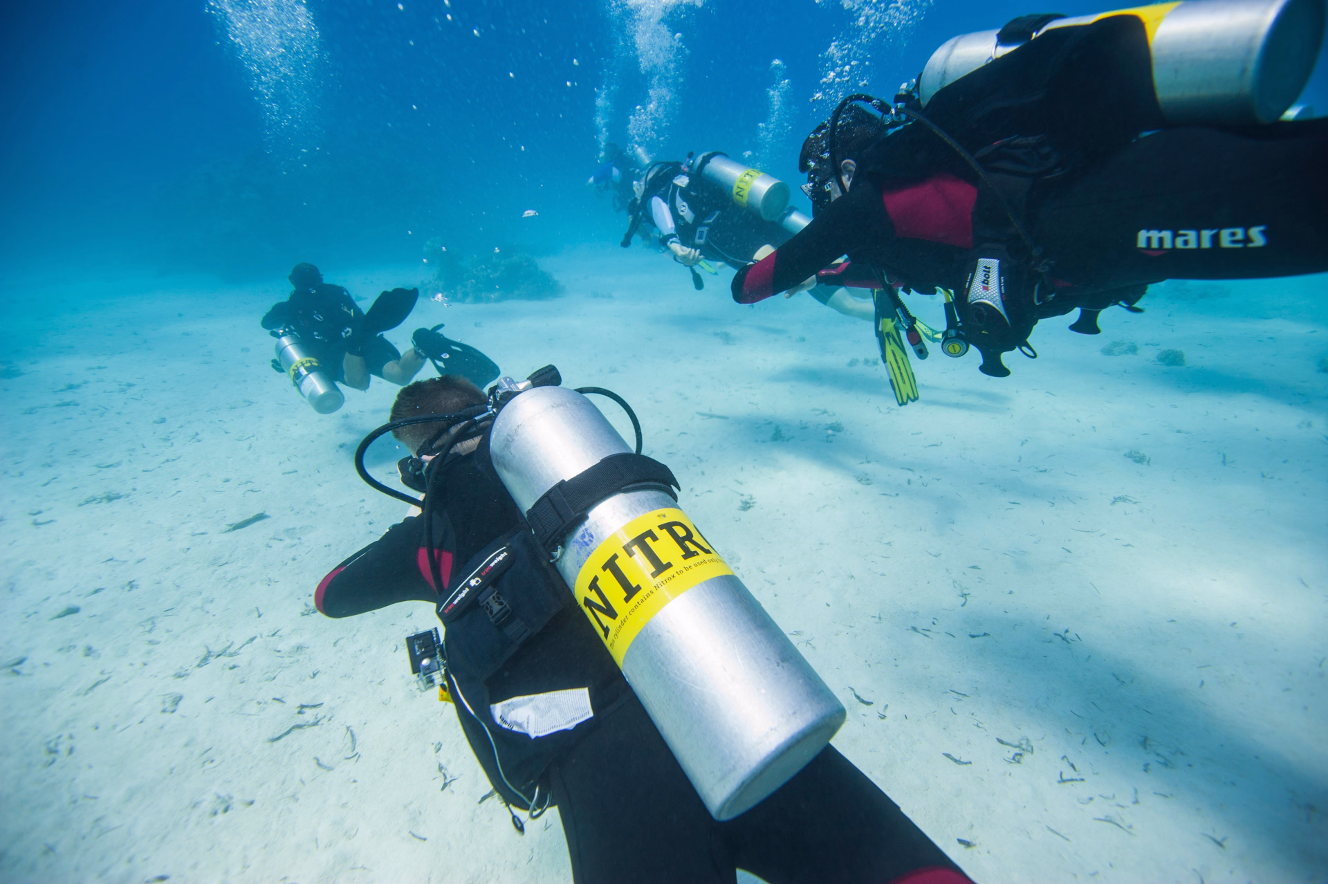 Découvrez récifs et épaves emblématiques en 6 jours à El Gouna