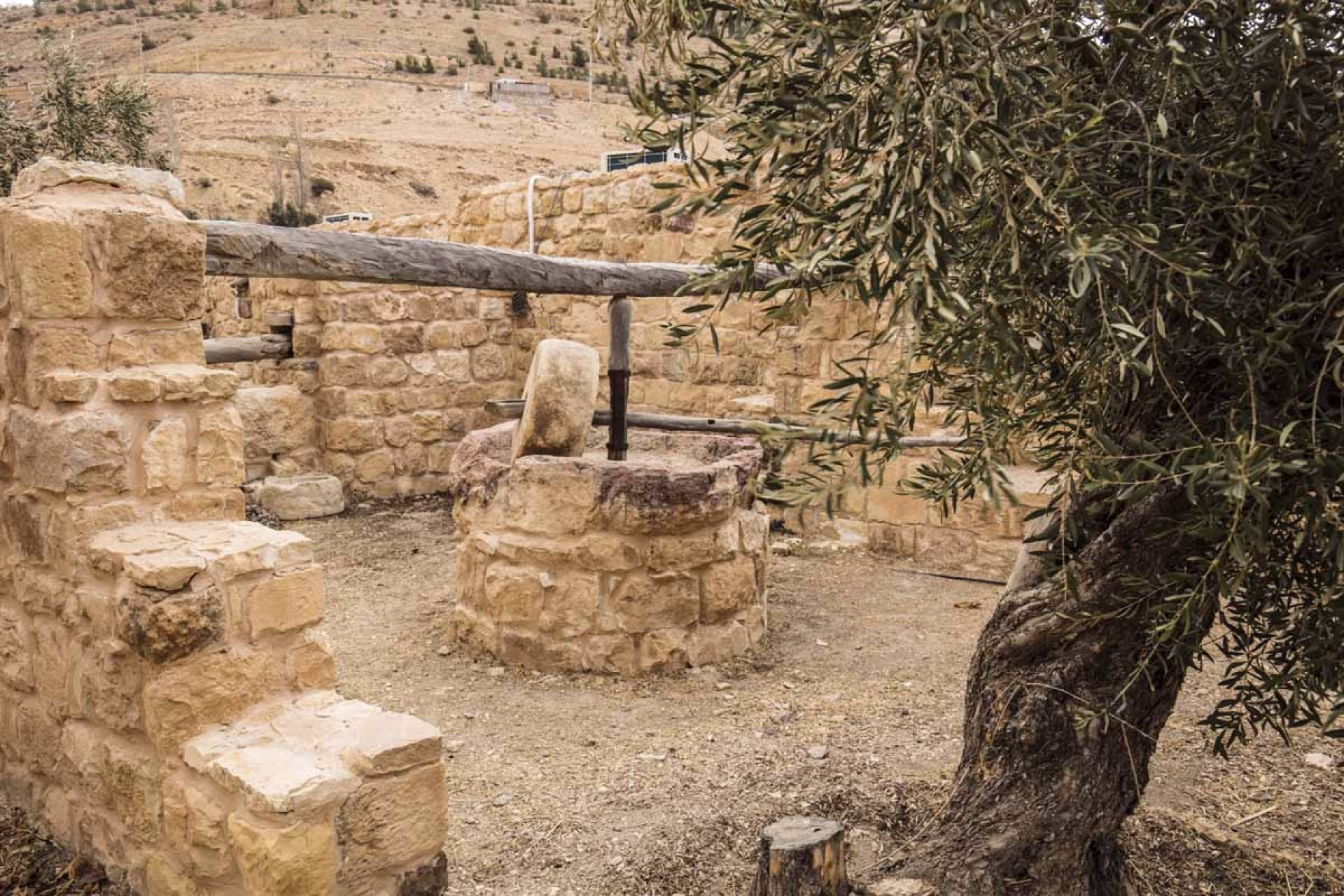 🏩 Hôtel 5* - Jours 4 à 5