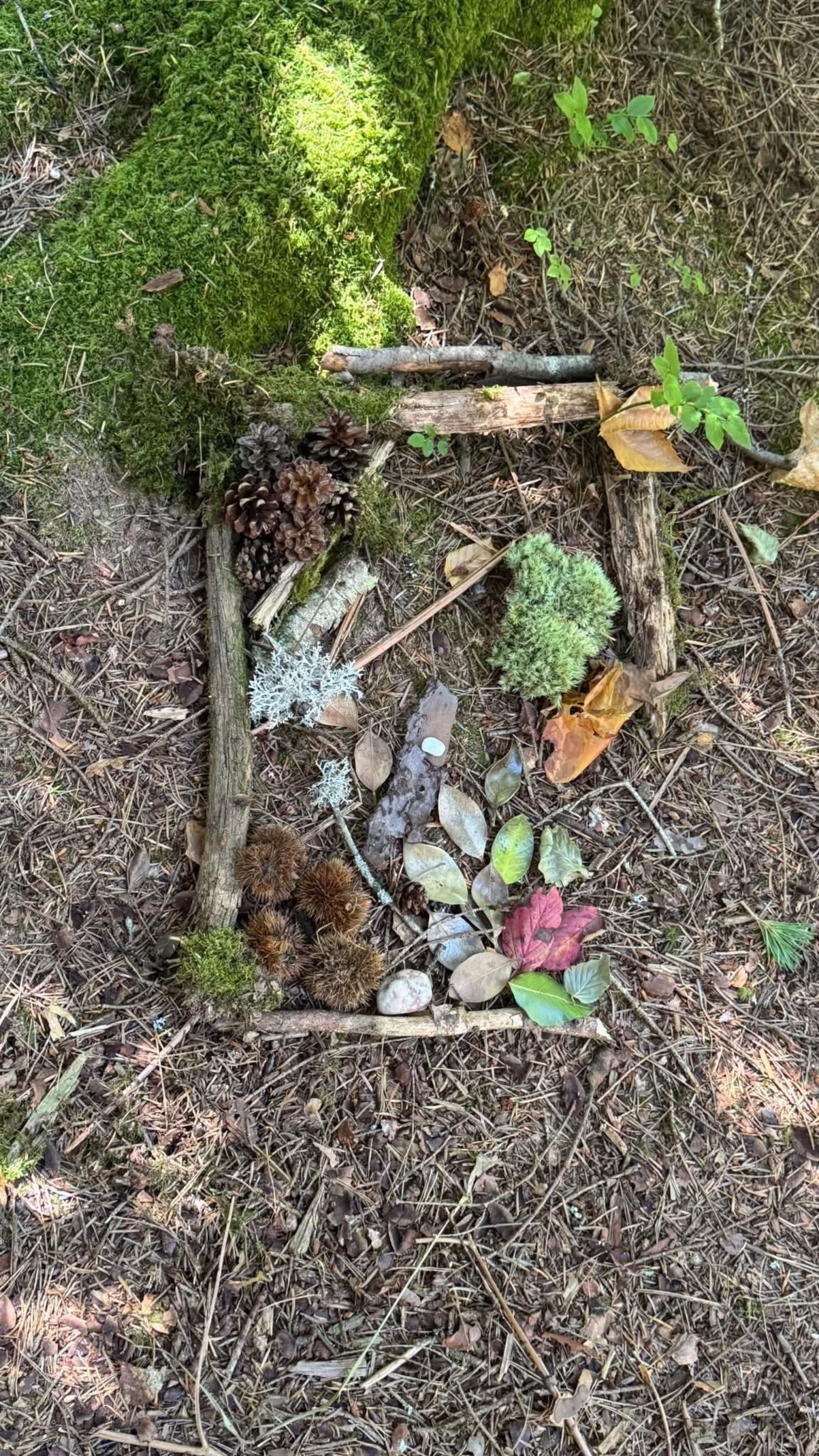 Week-end multi-activités outdoor 100% féminin dans les Vosges