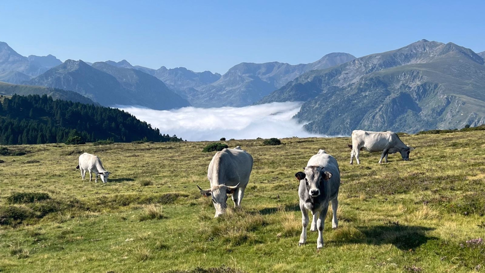 GR10 étape 6 : Aulus-les-Bains à Mérens-les-Vals en liberté