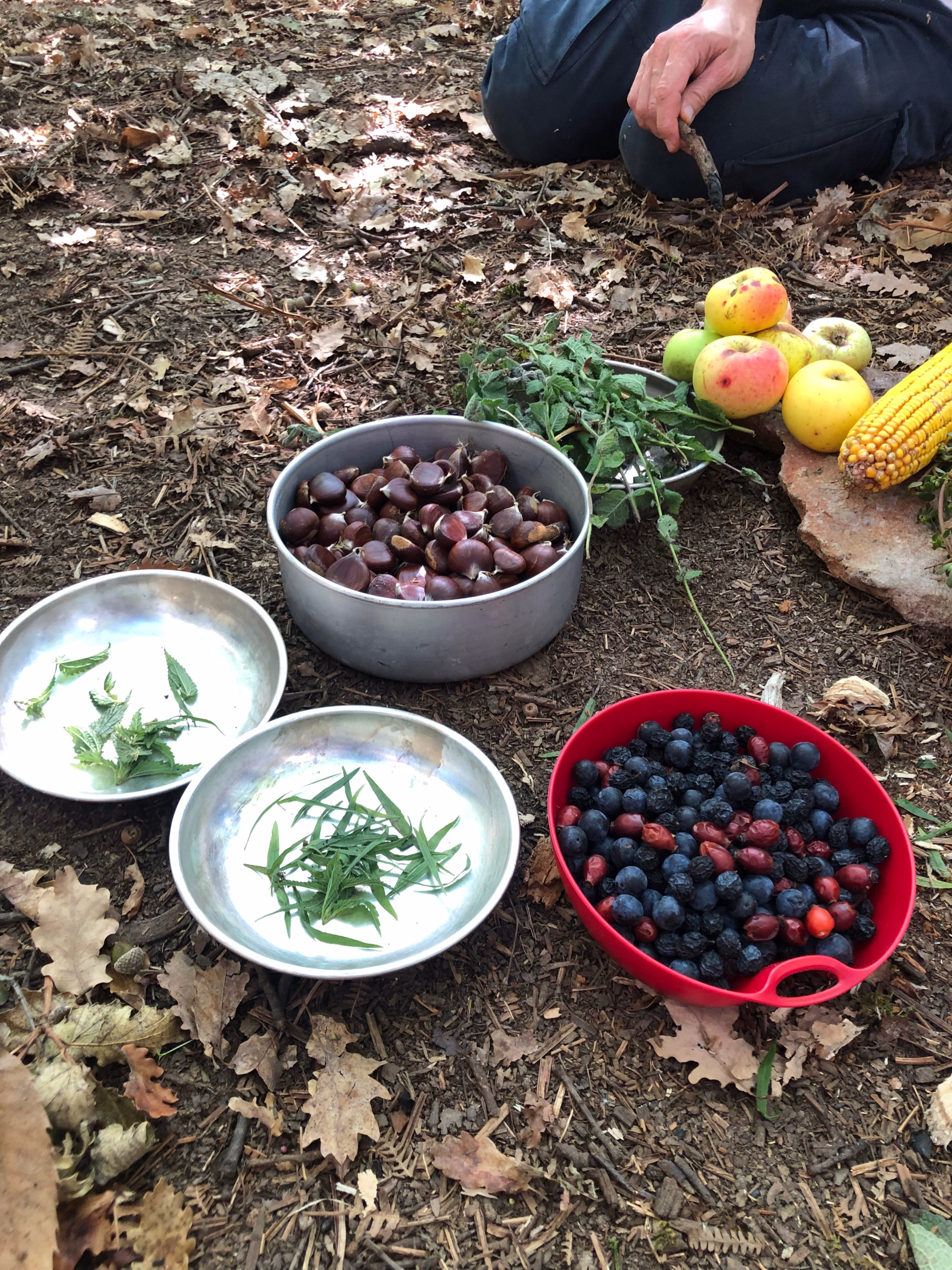 Micro-aventure sauvage dans le Gard