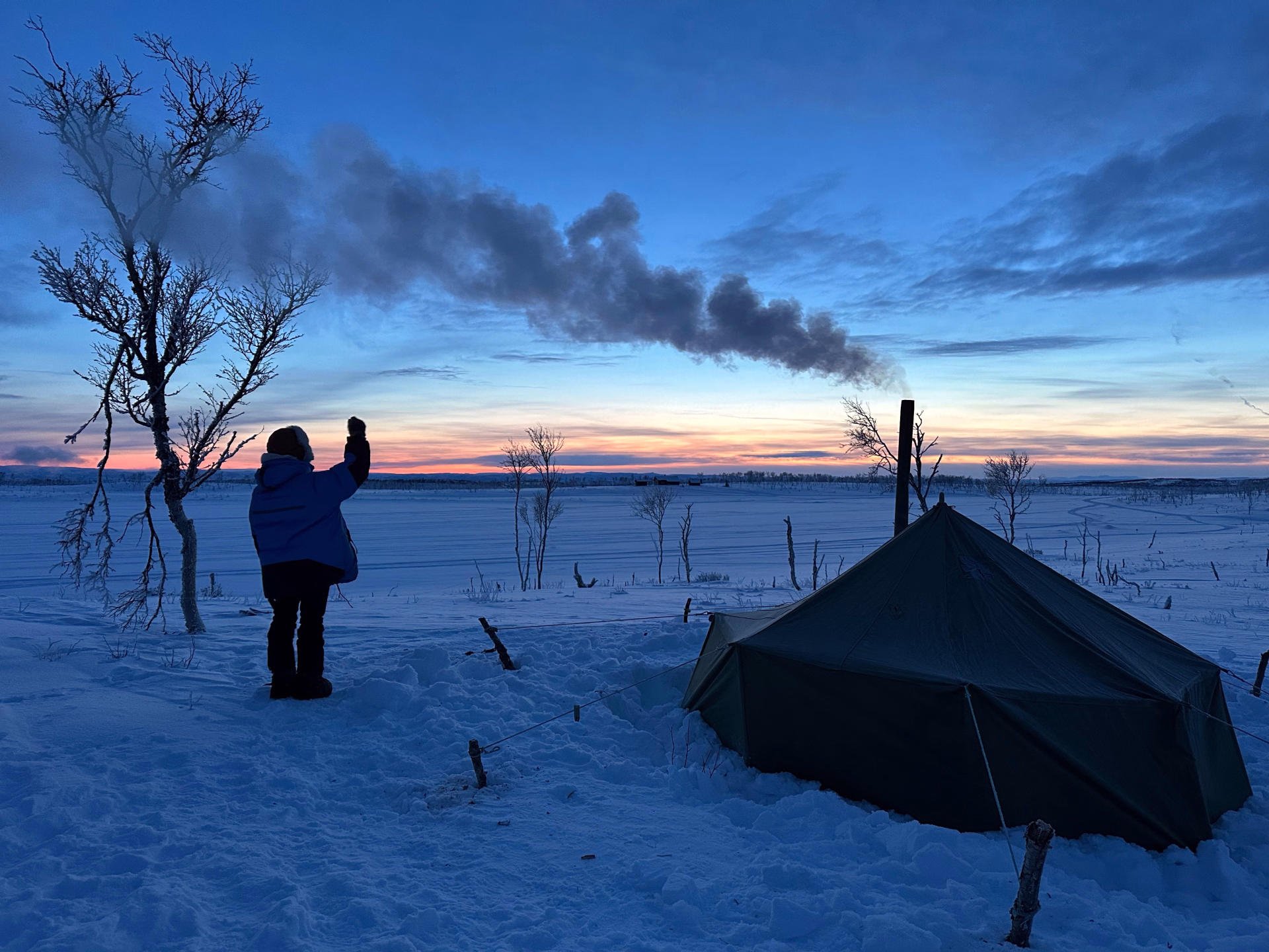 Expédition en terre arctique - chiens de traîneau et bivouac