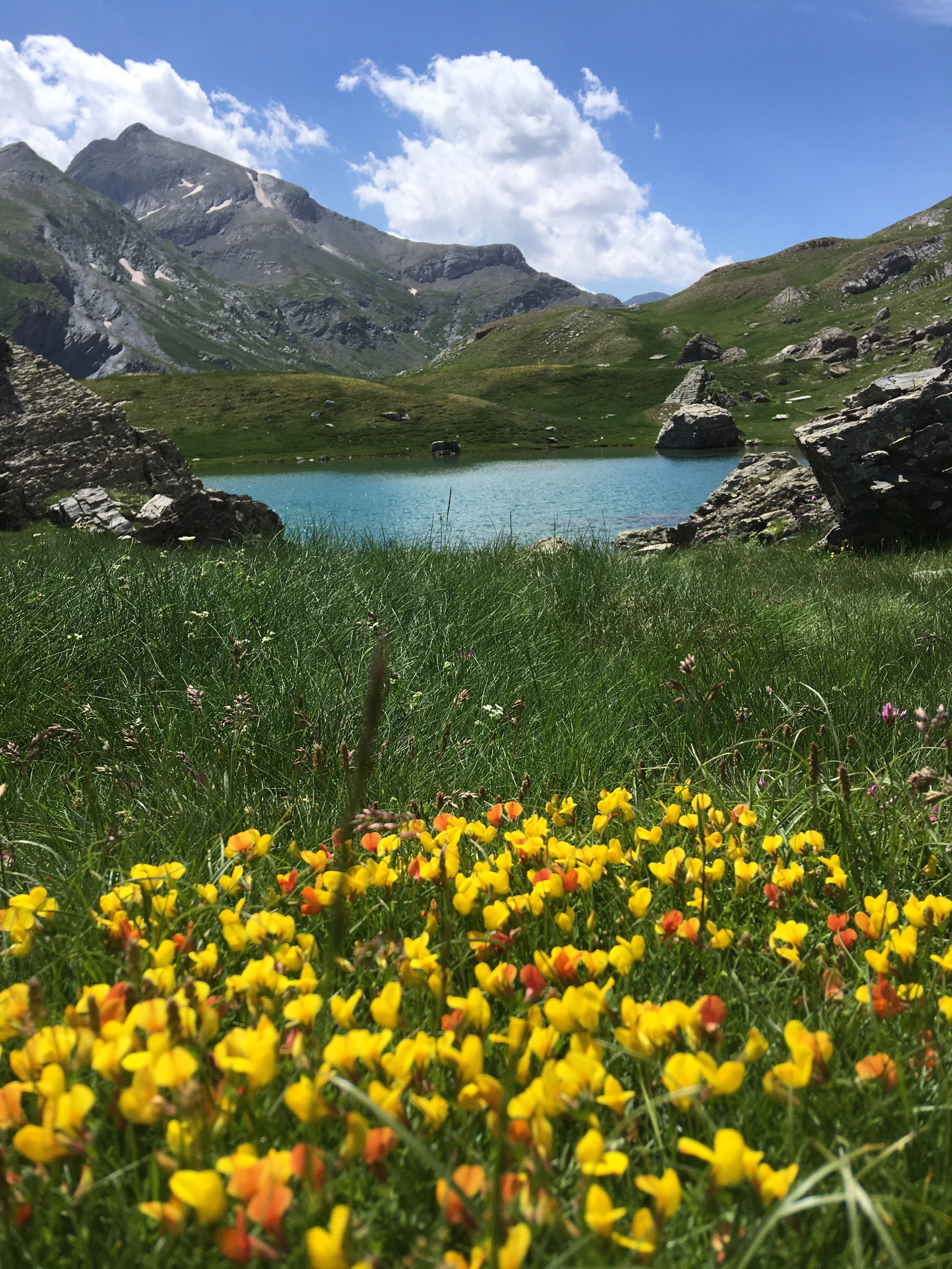 Les merveilles des Pyrénées en liberté