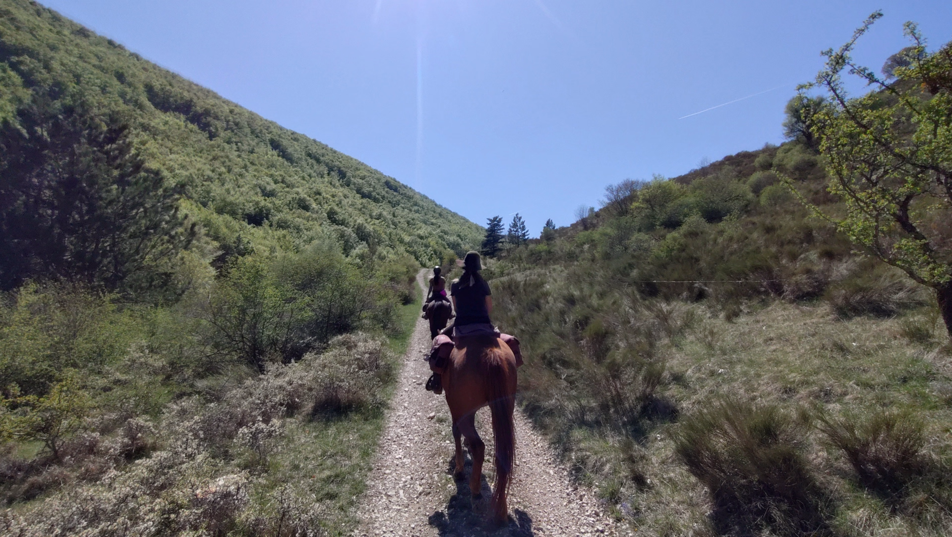 Week-end à cheval entre Baronnies et Hautes-Alpes