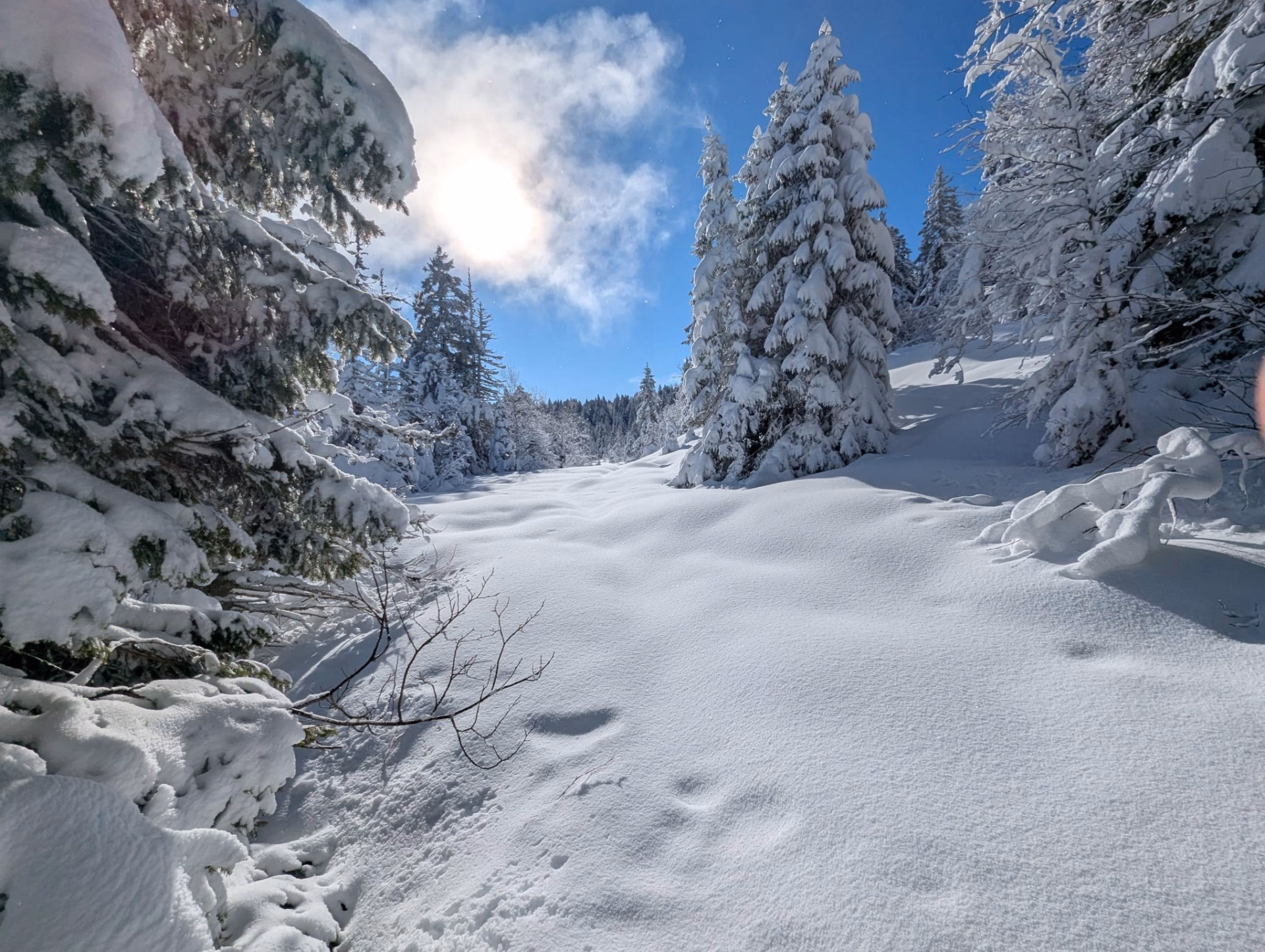 L'hiver en douceur au cœur du Vercors : raquettes & spa nordique