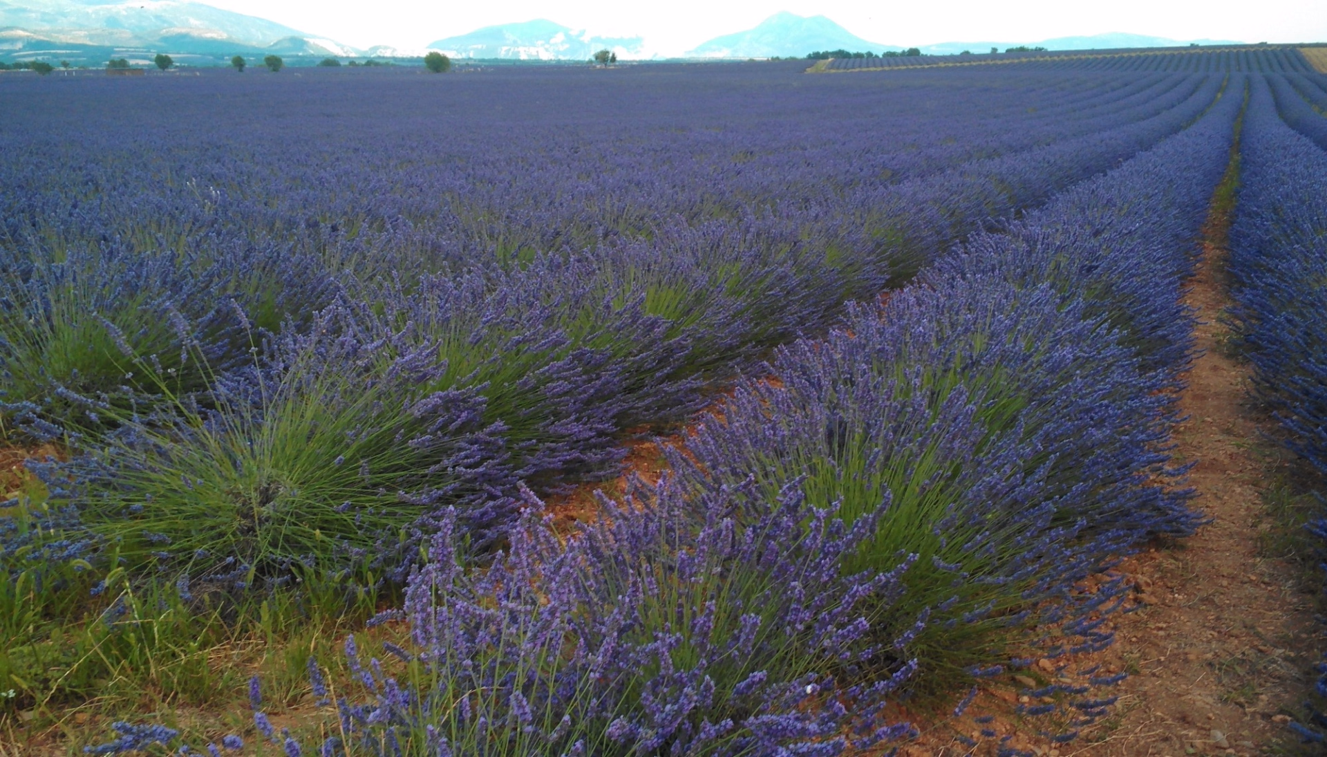 Randonnée dans les Gorges du Verdon et villages provençaux
