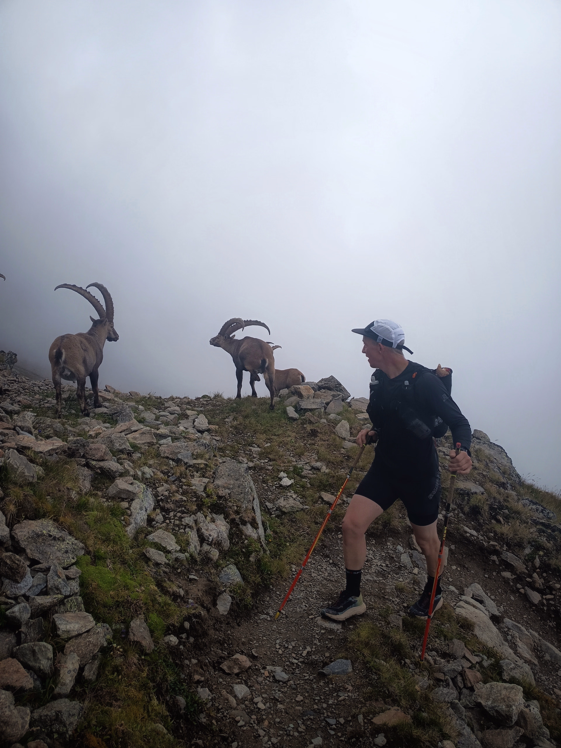 Stage trail spécifique ultra haute montagne à Chamonix !