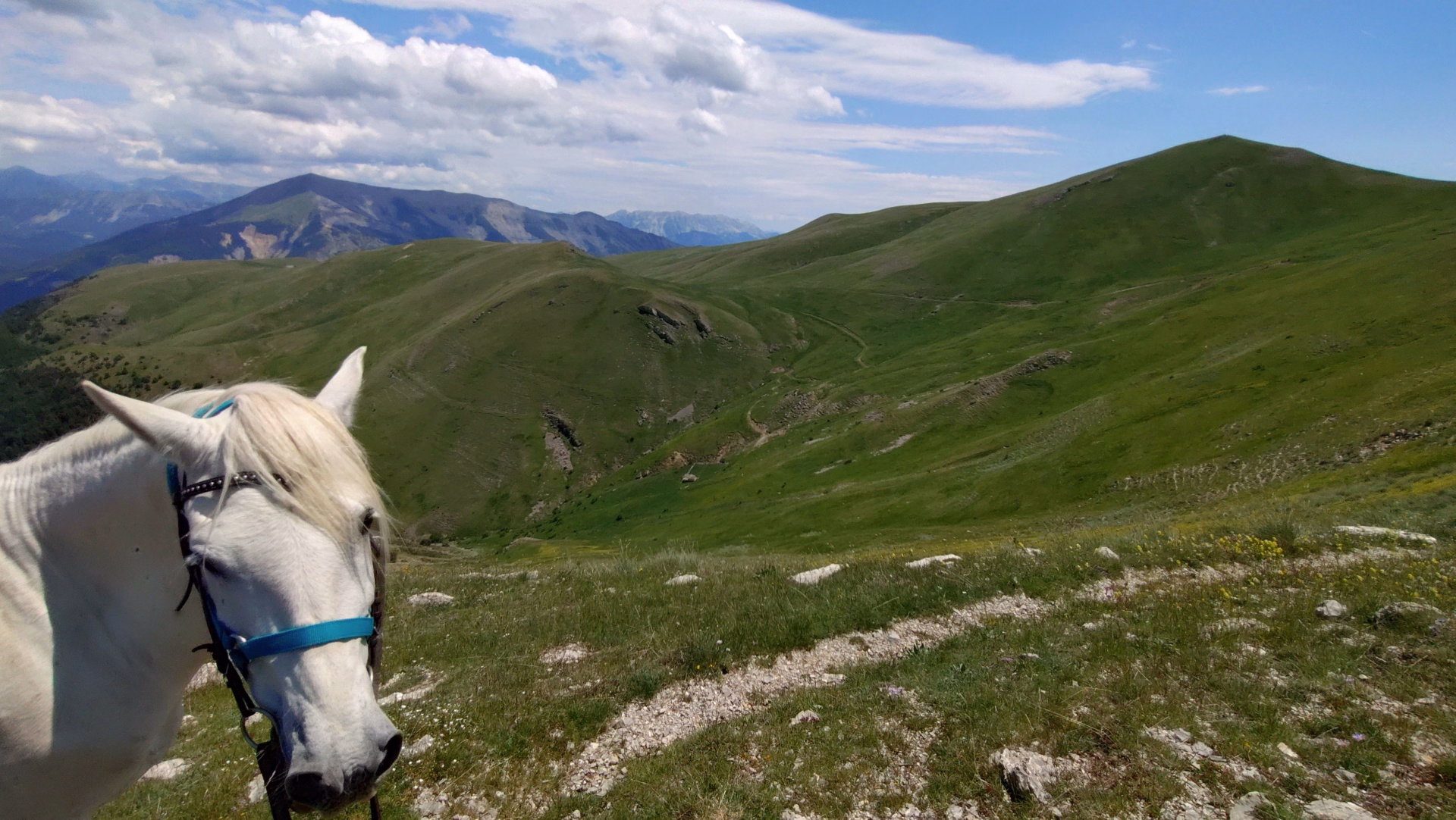 Tour des Monges à cheval