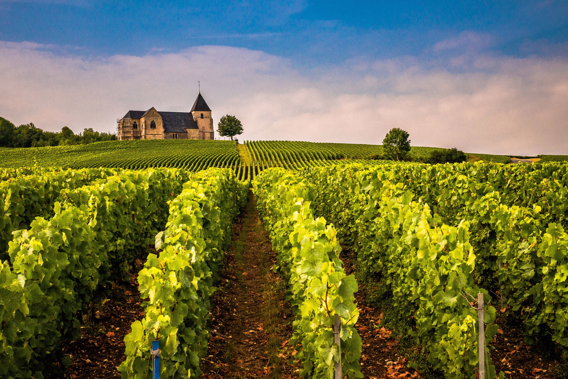 Le Kent à vélo entre culture et terroir