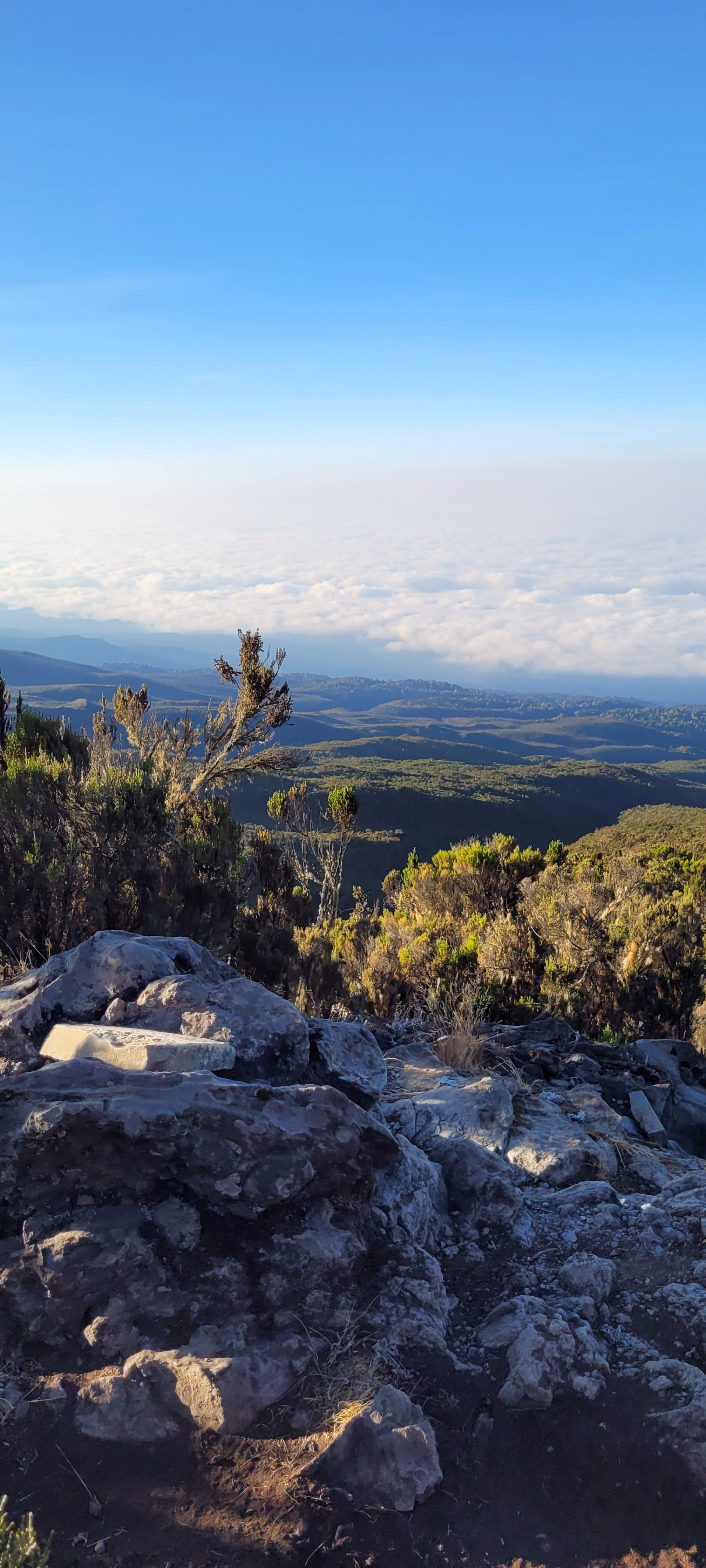 Photo paysage pendant la monté du Kilimandjaro