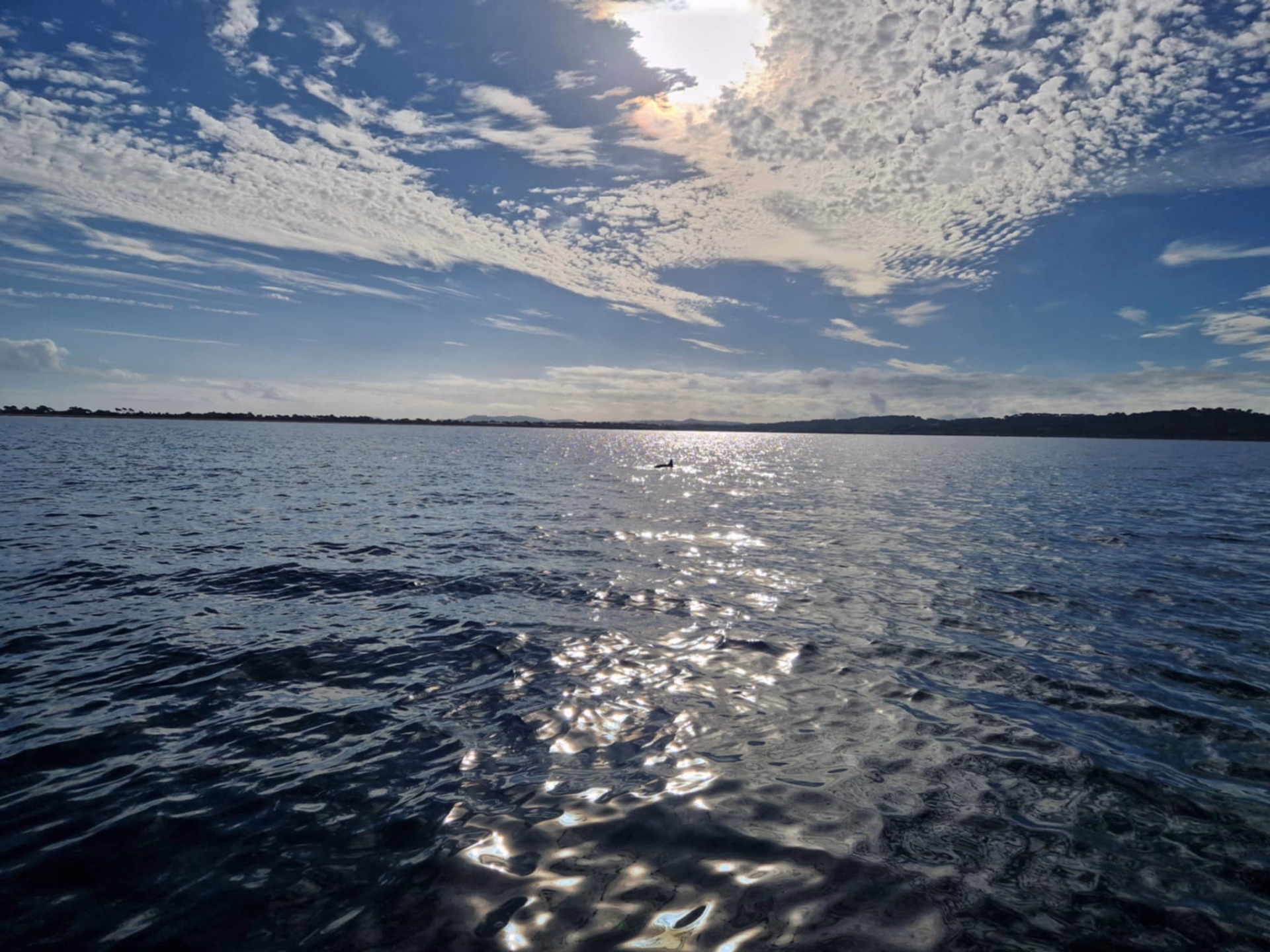 Mini-stage de découverte de l’apnée en milieu naturel