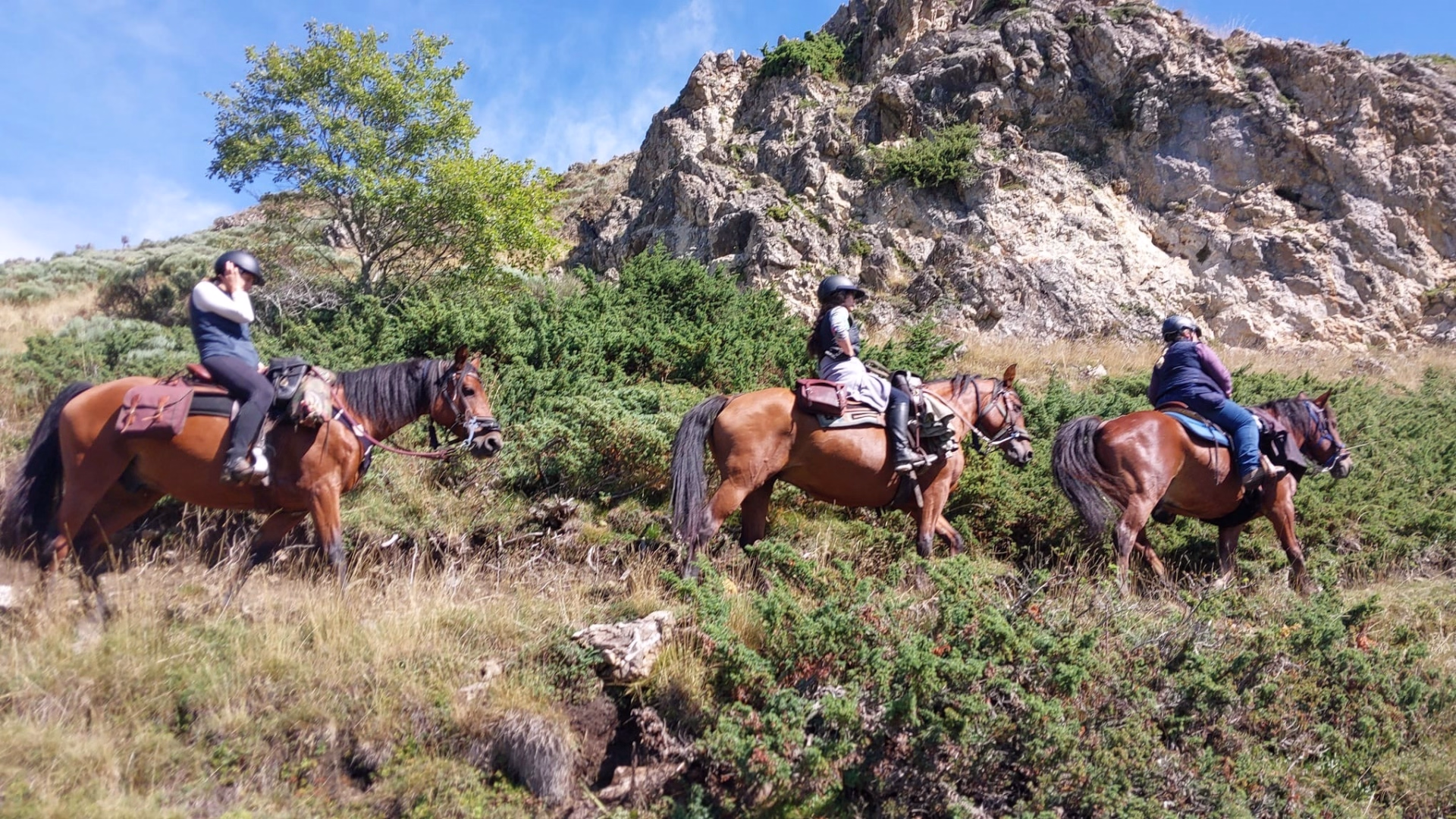 Itinérance à cheval vers Montségur dans les Pyrénées ariégeoises