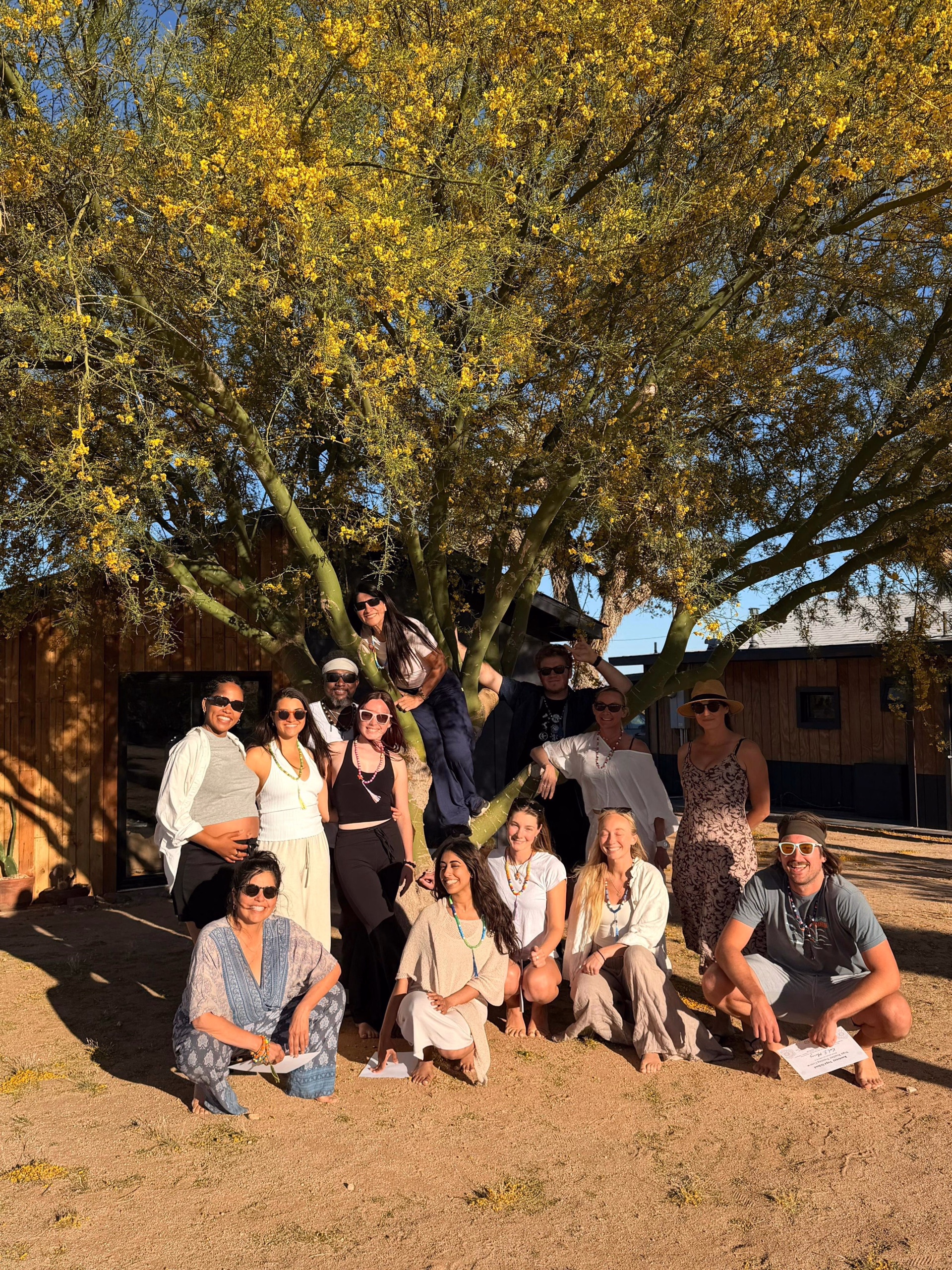 Désert sauvage — 6 jours de yoga & d'aventure à Joshua Tree