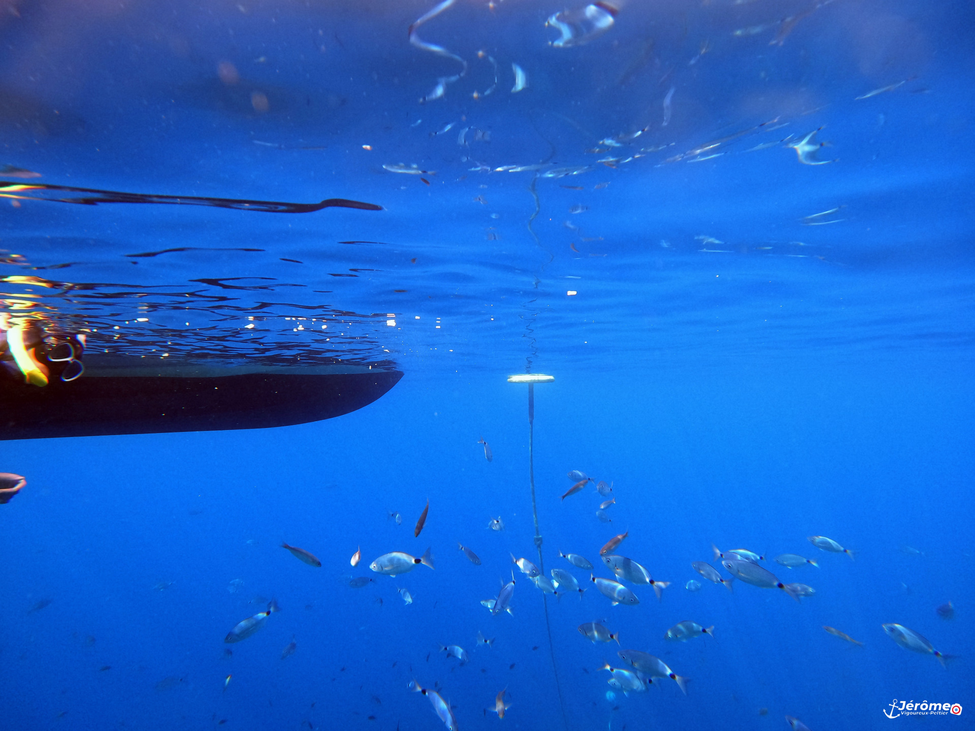 Snorkeling randonnée palmée à Porquerolles