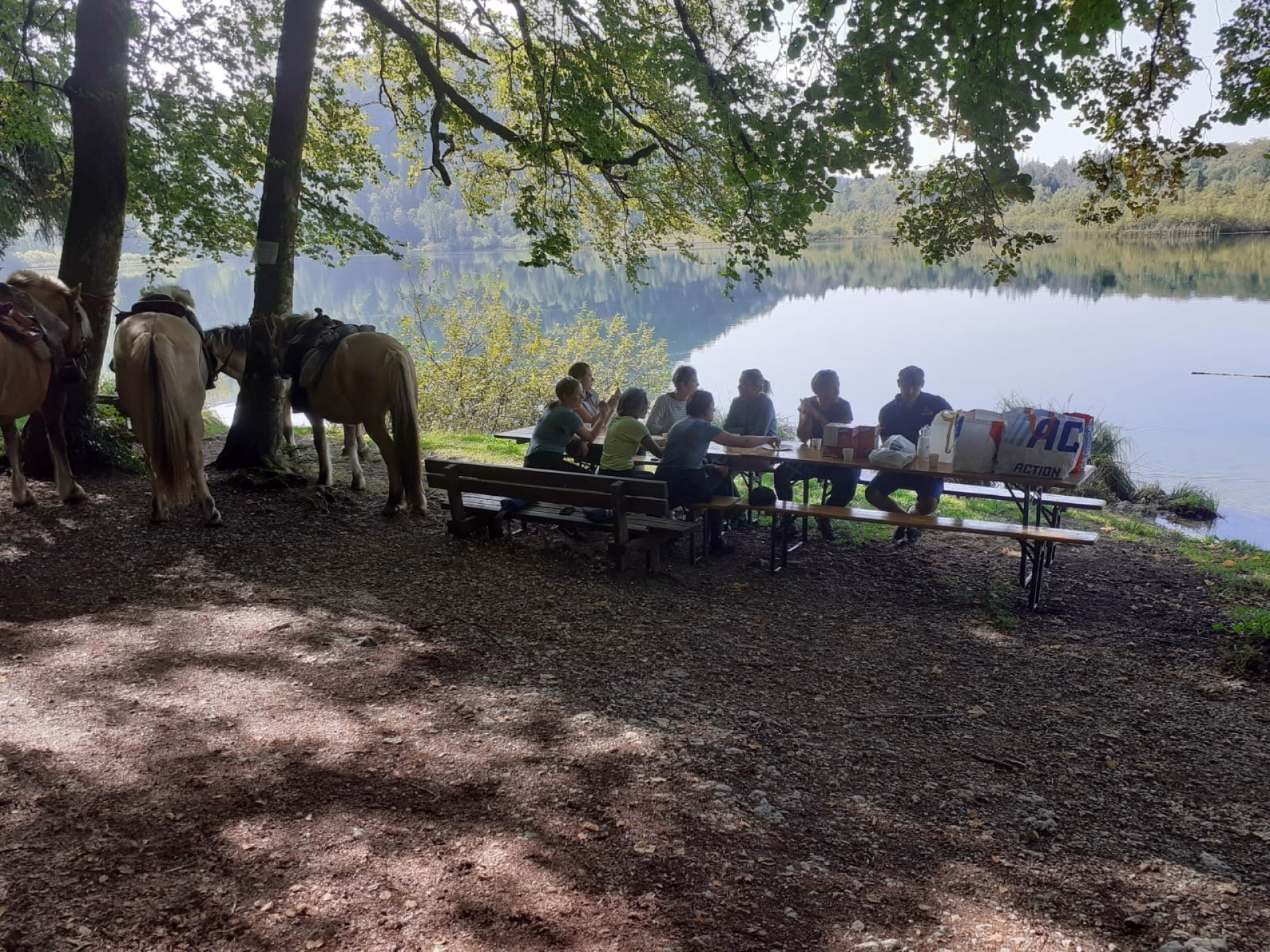 Rando à cheval au fil des lacs et cascades du Haut-Jura