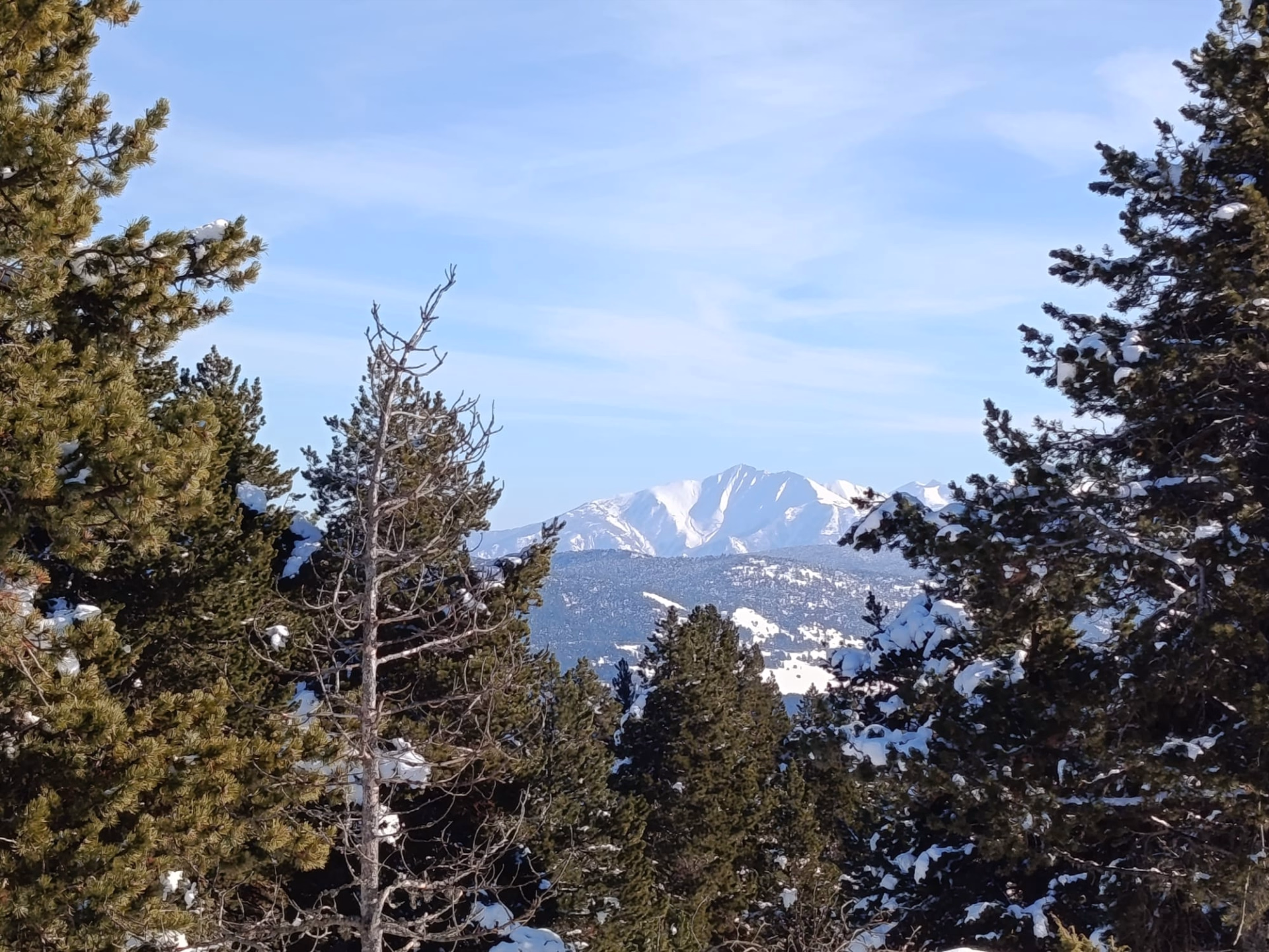 Raquettes et réveillon gourmand dans les Pyrénées Catalanes