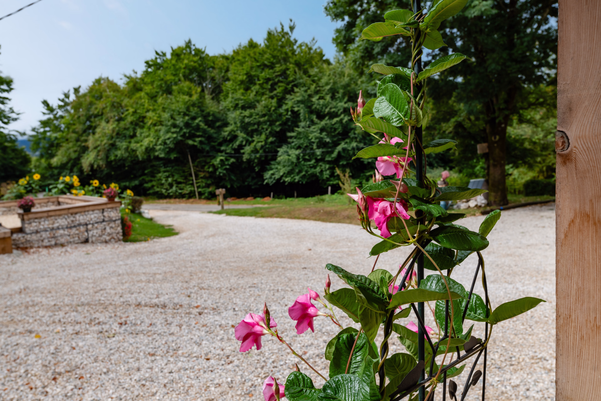 Randonnée liberté au cœur du Vercors drômois